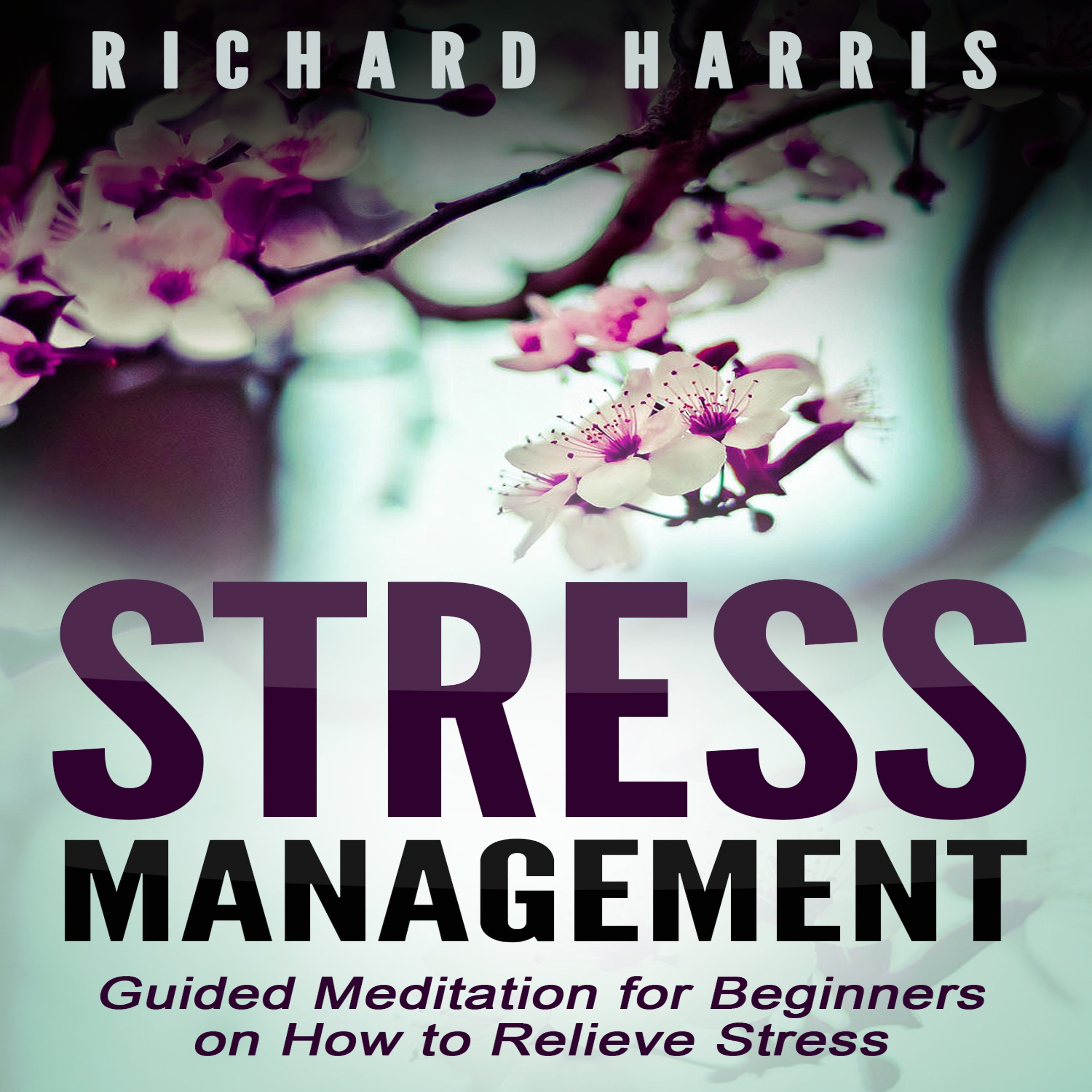 Cover art for Stress Management