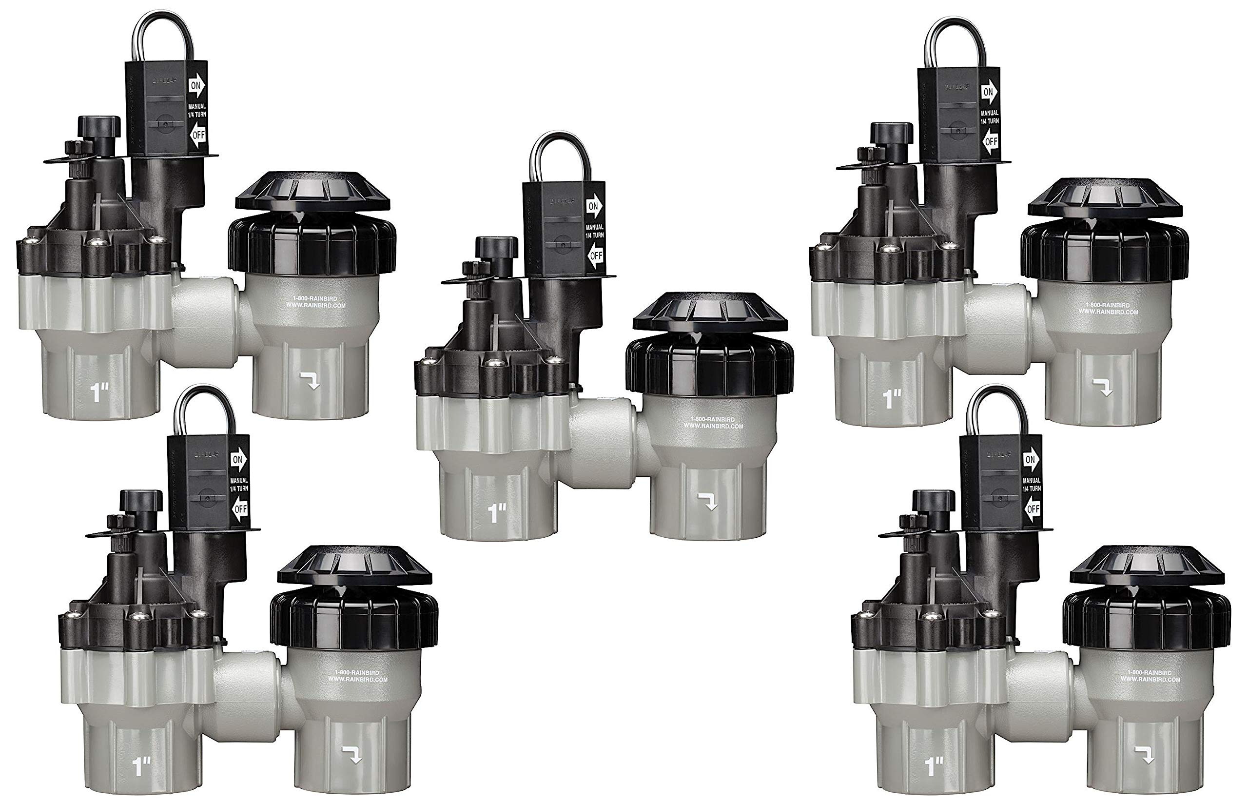 Buy 5 Pack Rain Bird DASASVF100 Professional Grade AntiSiphon Valve