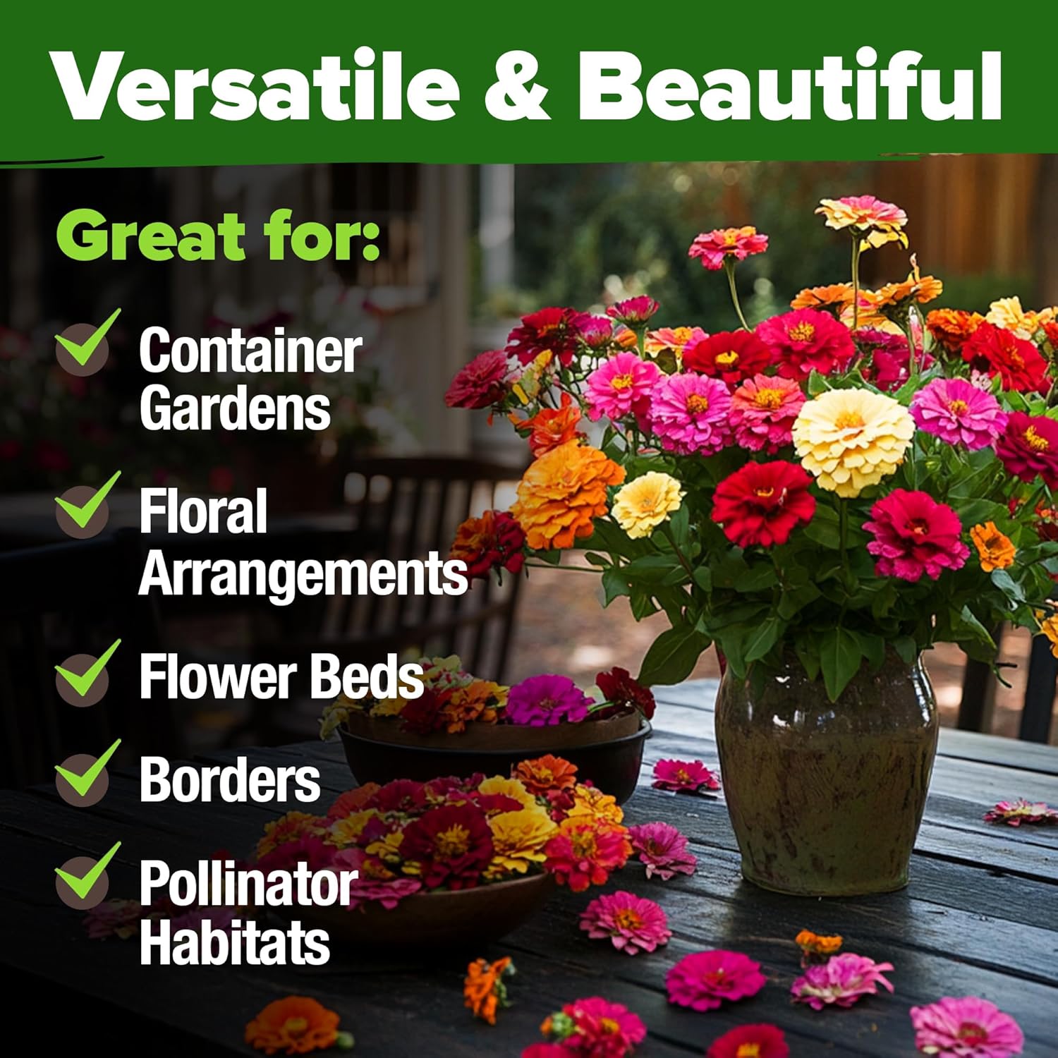 HOME GROWN Zinnia Seeds for 2026 - California Giant Mix - 7,300+ (2 oz) Plant Wildflower Blooms Bulk Seeds for Planting Flowers Outside - Pollinator Gardens (Zinnia elegans)