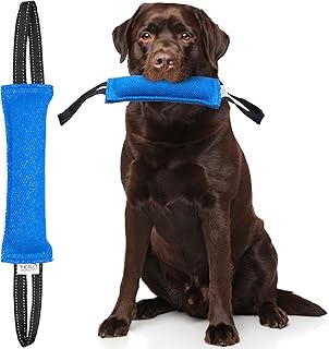 Dog Bite Tug Toy (11.8"x3.5"), Durable Blue Pull Toy w/ 2 Soft & Strong Black Handles, Tough Nylon Bite Pillow for Medium to Large Dogs, Ideal for Tug of War, Fetch, K9, Puppy Training by Yes4Quality