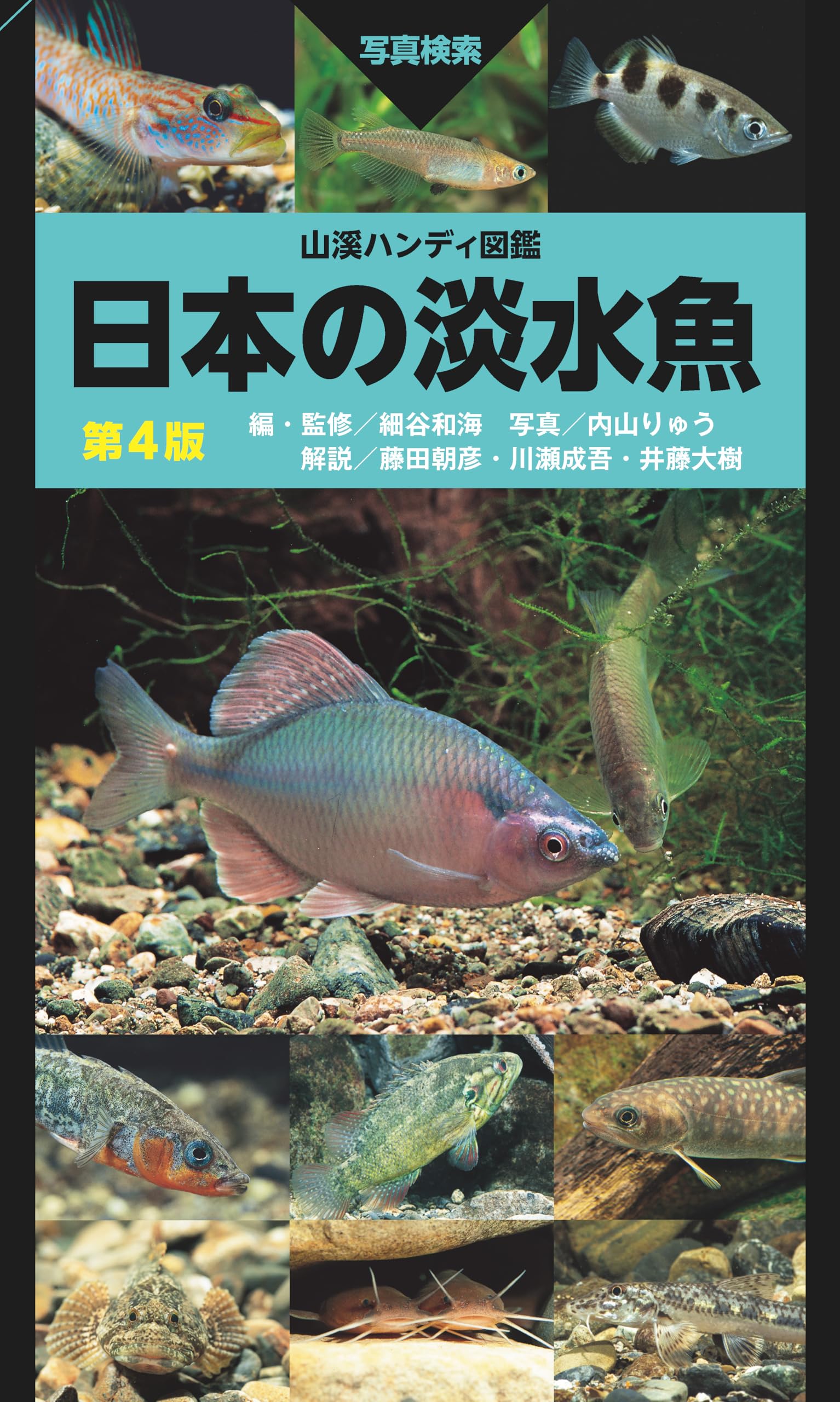 山溪ハンディ図鑑 日本の淡水魚 第4版 | 細谷 和海, 内山 りゅう, 藤田