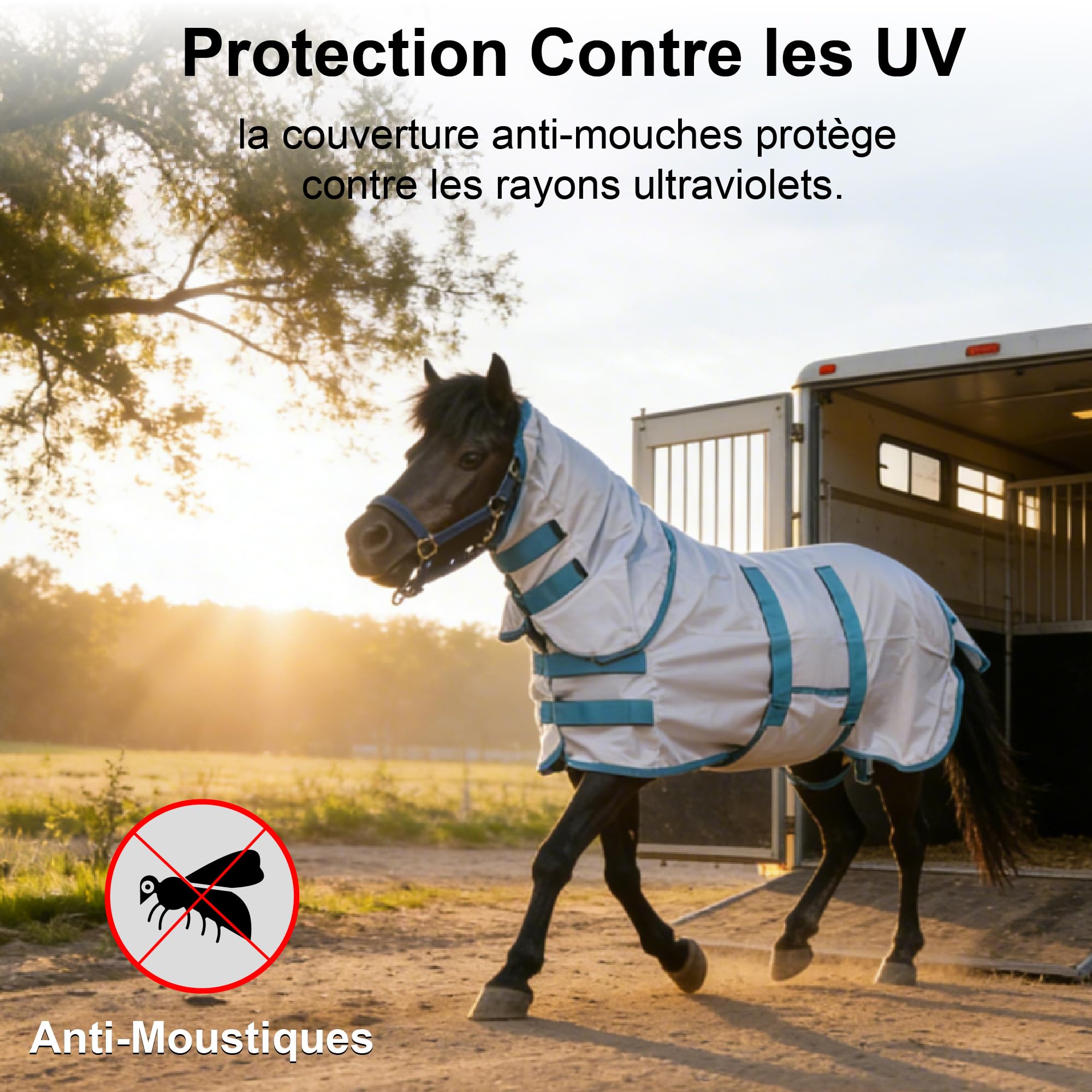 Manta antimoscas para mini caballo, pequeño pony, con tapa para cuello y banda vientral, extraíble, protección UV, malla ligera y transpirable, para burro, miniatura, potro destetado