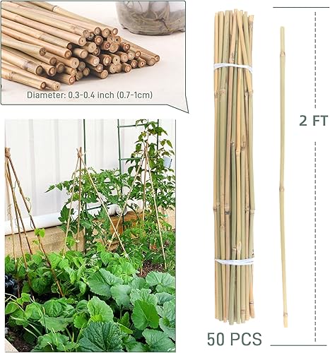 Miniatura 5 de 50 estacas de bambú para plantas de interior y exterior, palos de bambú de 0.32 a 0.4 pulgadas, 5 pies, estacas de soporte de jardín, postes de