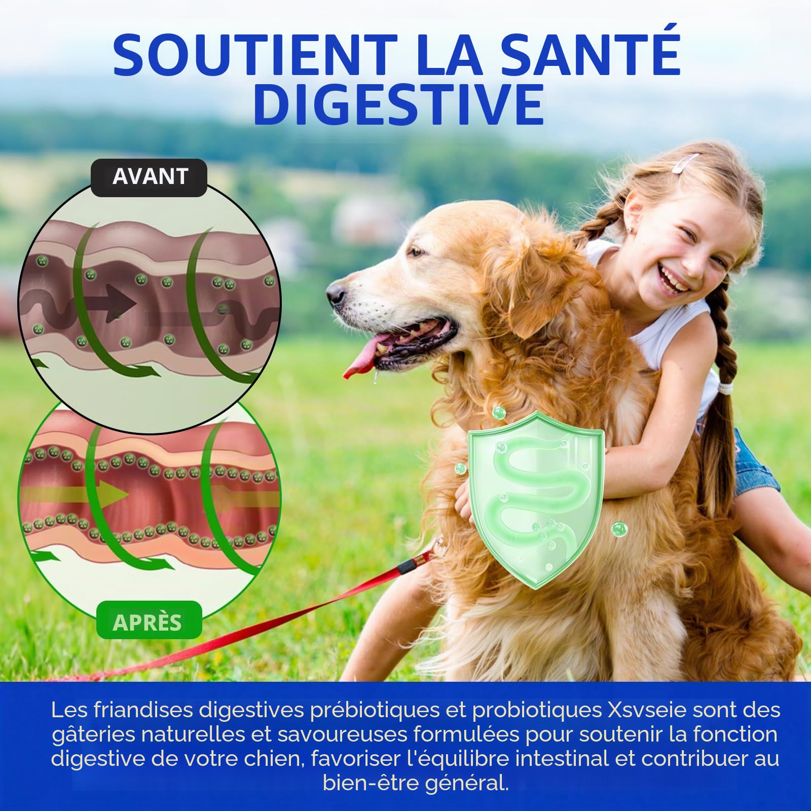 Probiotiques pour chiens avec prébiotiques – Probiotiques pour chien pour la santé intestinale | Soutient les enzymes digestives, la peau des démangeaisons, probiotique naturel pour chien – 150 goût