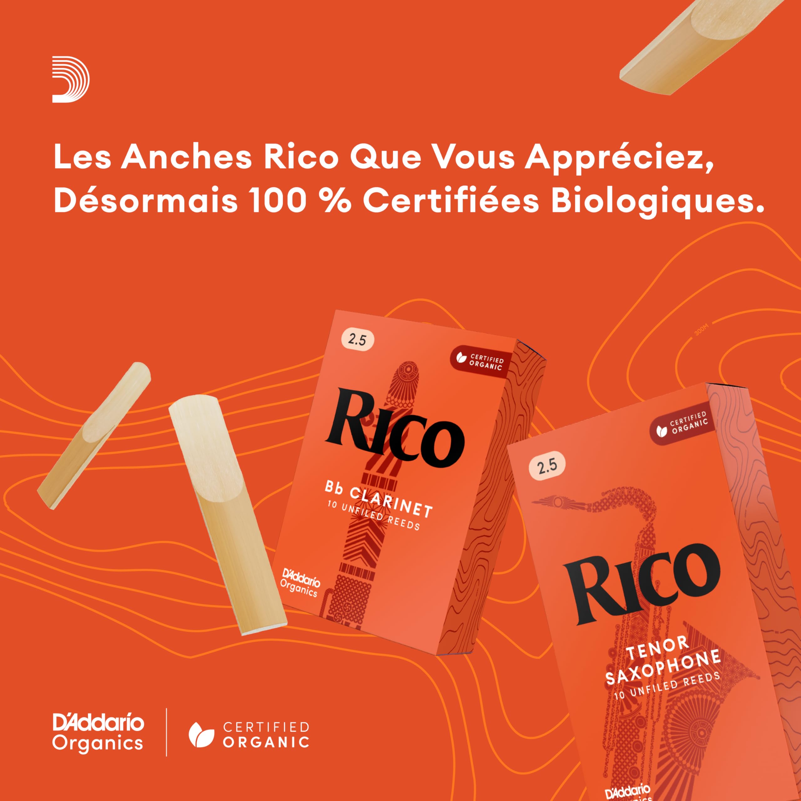 Rico Anches Rico pour saxophone baryton force 2.5 pack de 3