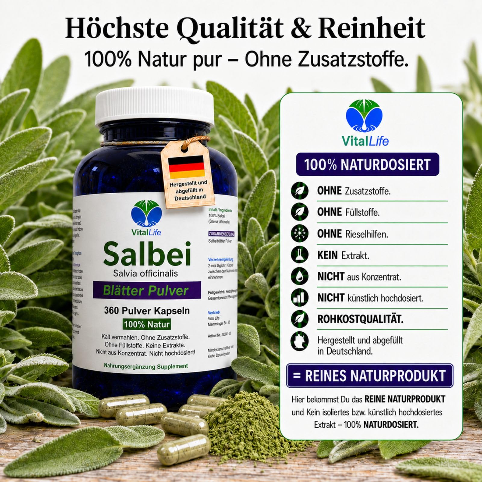 SALBEI 720 (2x360) Kapseln gegen Schwitzen, natürlich bei Hitzewallungen, Nachtschweiß, für Wechseljahre, Blähungen. NICHT künstlich hochdosiert. NATUR PUR. Kein EXTRAKT. Ohne ZUSATZSTOFFE 27265-6