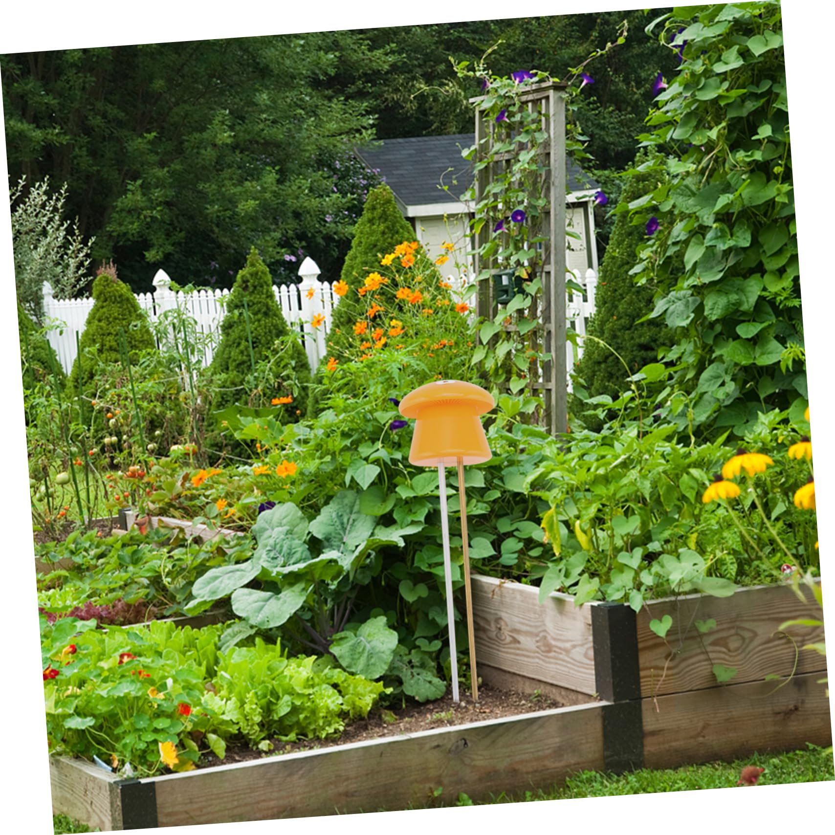 ibasenice 2 Stck. Bodentester Bodenfeuchtigkeitsmesser Anlage Boden Meter Pflanzentester Boden Ph-Tester Gartenerde Tester Werkzeug Zur Bodenuntersuchung Bodenfeuchte Tester Orange Plastik