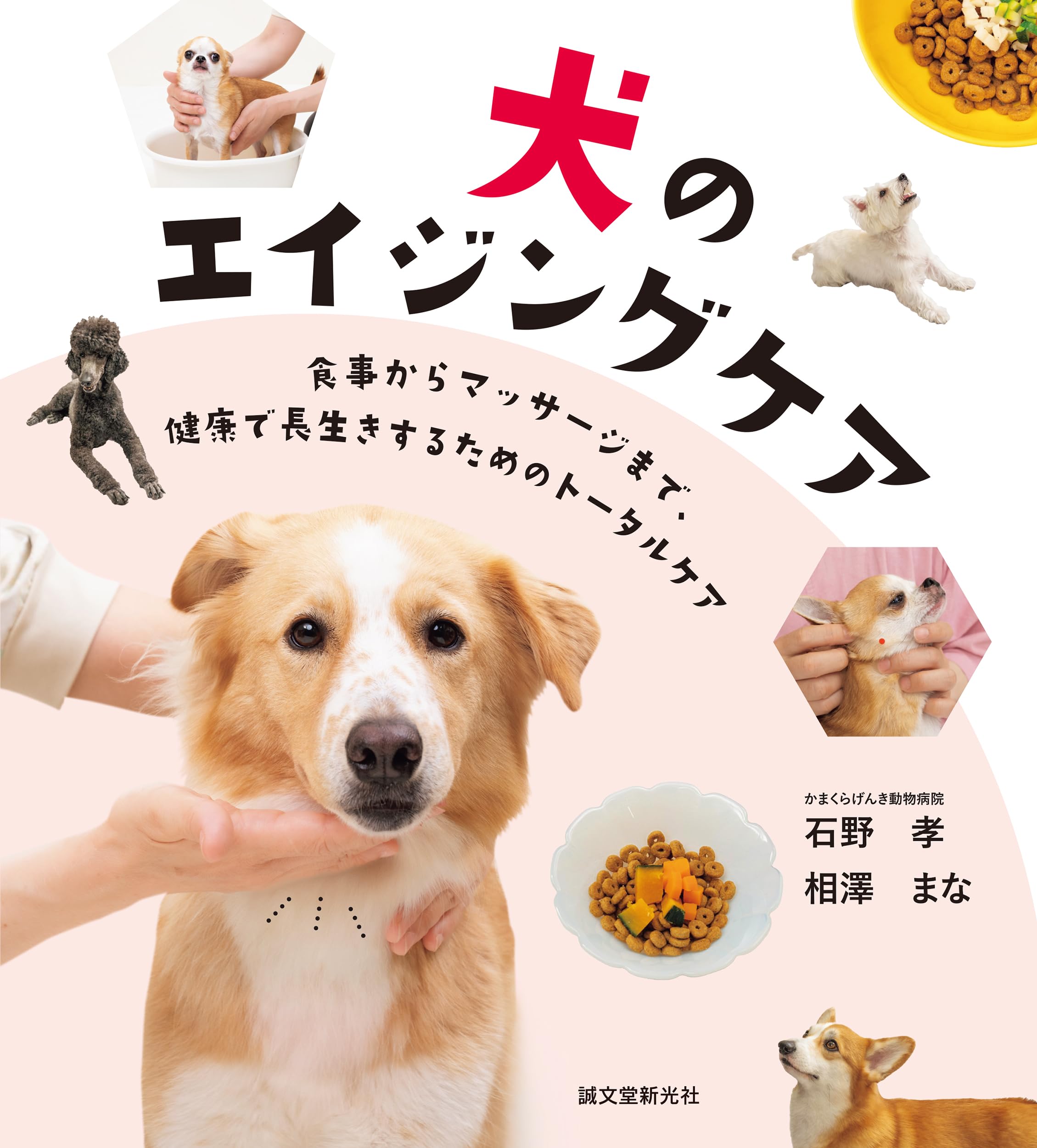 アドバンス・バイブル 石野孝 JPMAオフィシャルDVD Amazon.co.jp: 石野先生vs藤原組長のメディカルマッサージ for dogs