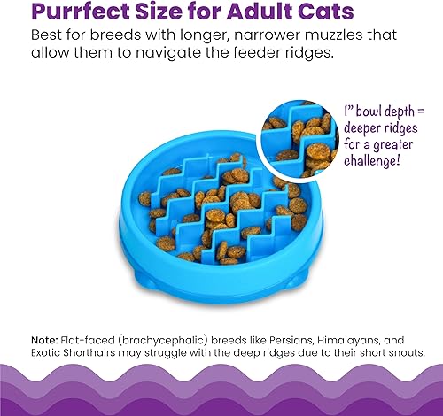 Miniatura 5 de Catstages Kitty - Cuenco de alimentación lenta para gatos y perros pequeños, plato de rompecabezas para comedores rápidos, para alimentos húmedos o