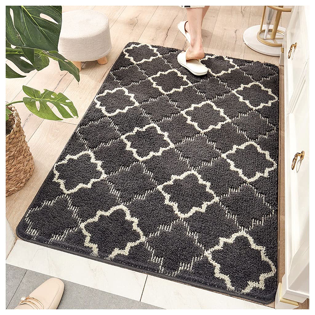 Tapis de pieds intérieur absorbant eau de sol paillasson entrée anti-glissement 60x90