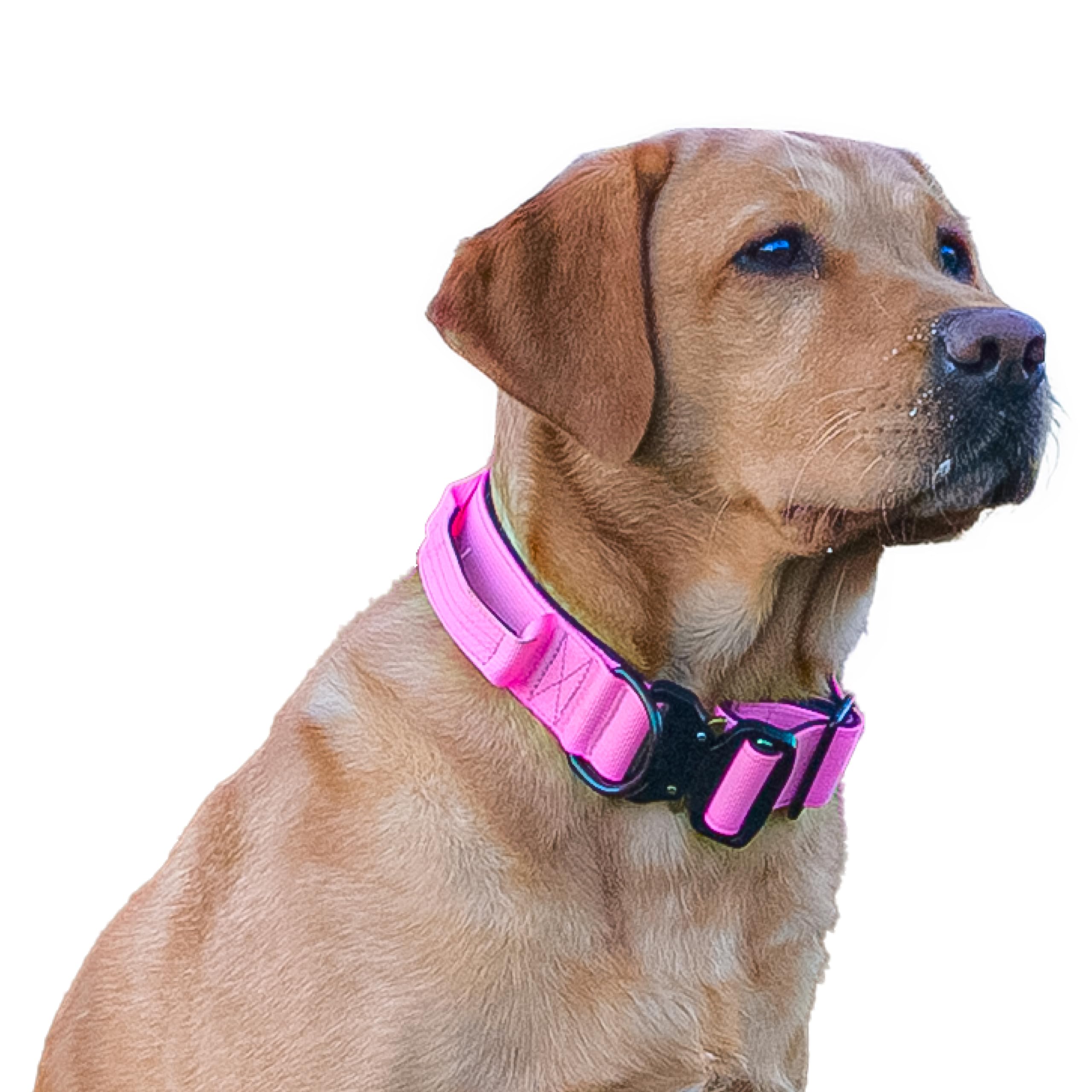 HugglePets Tactical K9 Adjustable Dog Collar, Pink, Medium 46-66cm — image 1