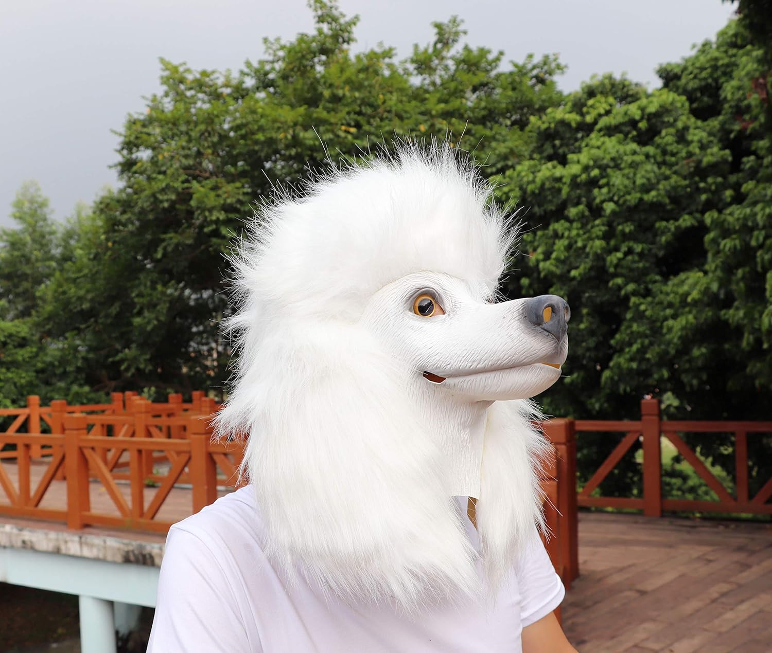 Sns映 インパクト大のアニマルマスク いぬ かぶりもの なりきり アニマル イヌ イベント キャップ グッズ コスチューム コスプレ ハロウィン パーティー モコモコ リアル 動物 変装 大人 帽子 忘年会 映え 犬 着ぐるみ 被り物 再再販 映え