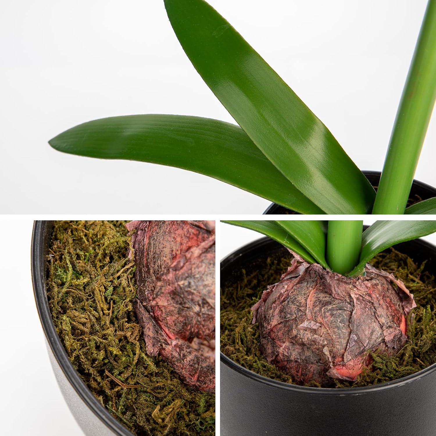 Briful Amaryllis Fake Flowers 17.3'' Tall Silk Amaryllis Plant in Black Pot Artificial Floral Arrangement with Decorative Bulb for Home Office Bathroom Kitchen Table Holiday Décor(Pink) - Image 3