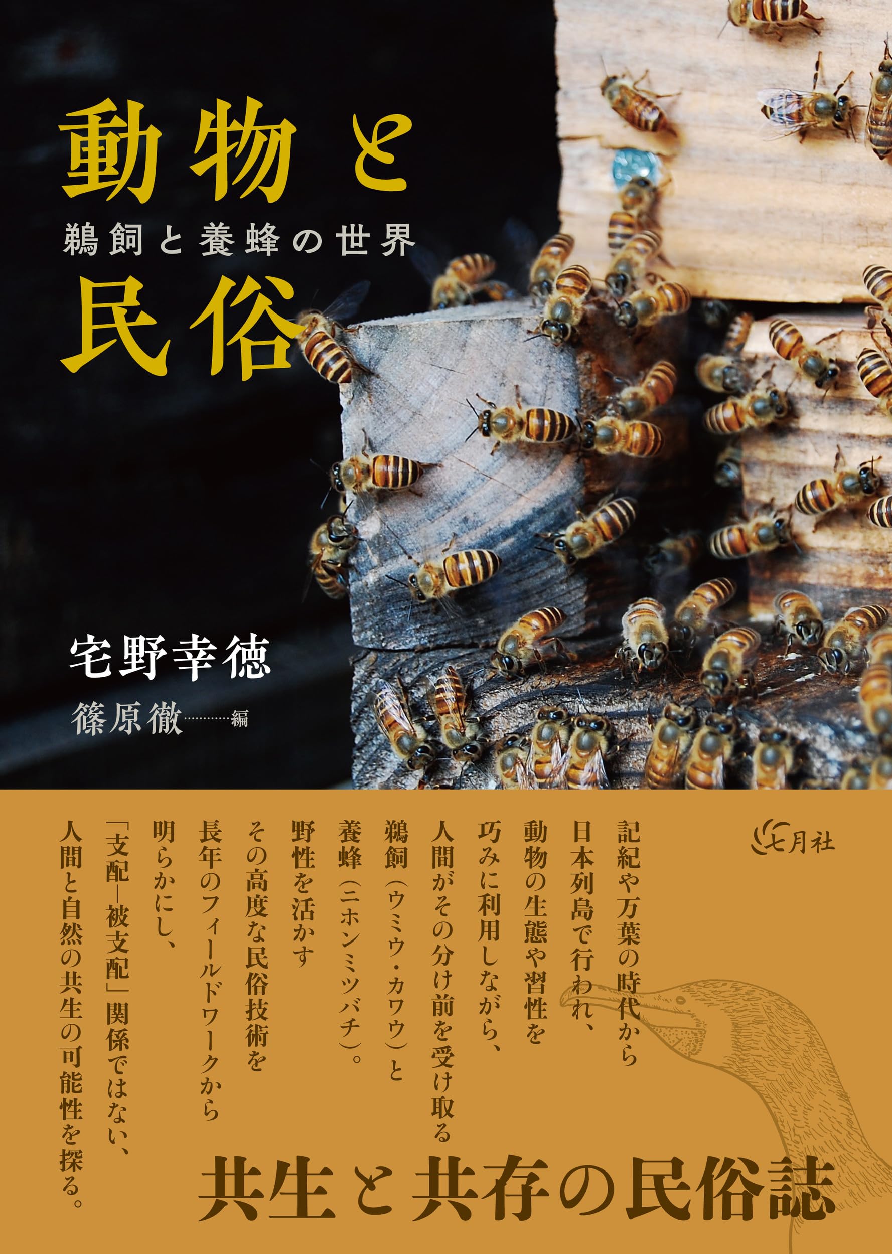 動物と民俗: 鵜飼と養蜂の世界 | 宅野 幸徳, 篠原 徹 |本 | 通販 | Amazon