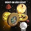 Product Photo 4