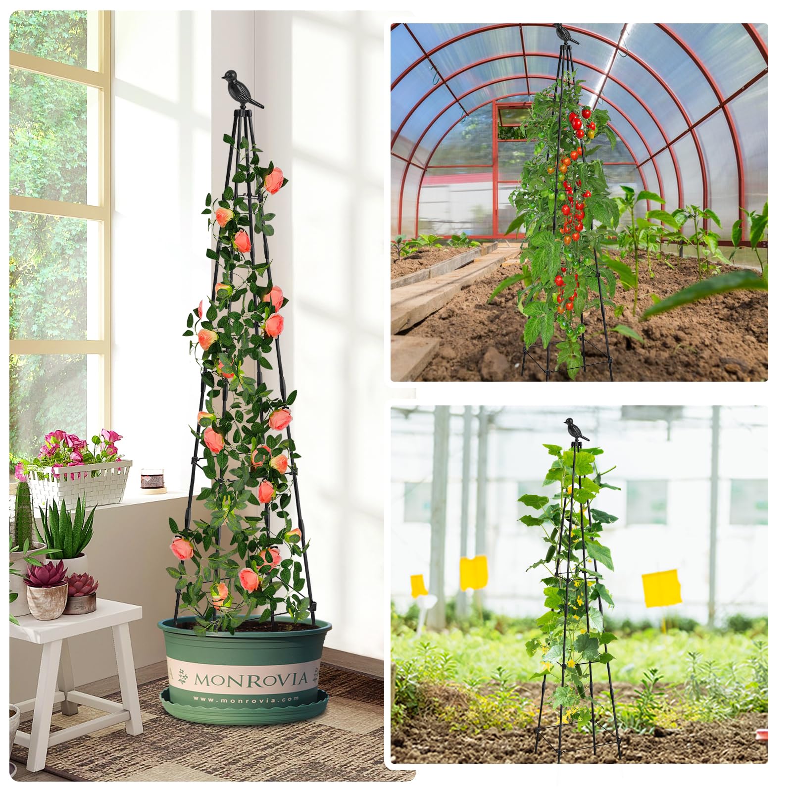 1,65 m Rankobelisk Enrejado de Enrejado de Metal Revestido para jardín con Rosas para Plantas trepadoras, Ayuda para Escalar, Globo, Rosas y Flores, Enrejado de Tomate, jaulas de Tomate (1,65 m)