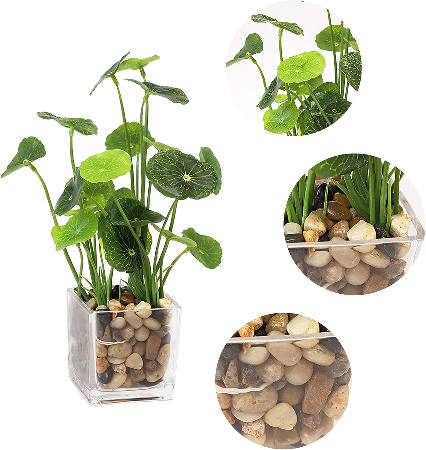 Cedilis 3 Pack Artificial Plants, Assorted Decorative Faux Potted Tabletop Greenery, Fake Lotus, Evergreen, Clover with Artificial Rocks & Roots in Clear Glass Pots