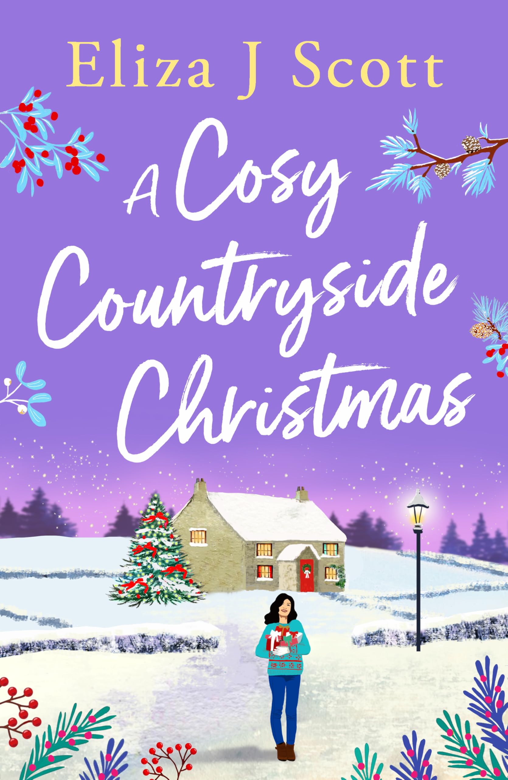 A Cosy Countryside Christmas: 6 (Life on the Moors)-Scott, Eliza