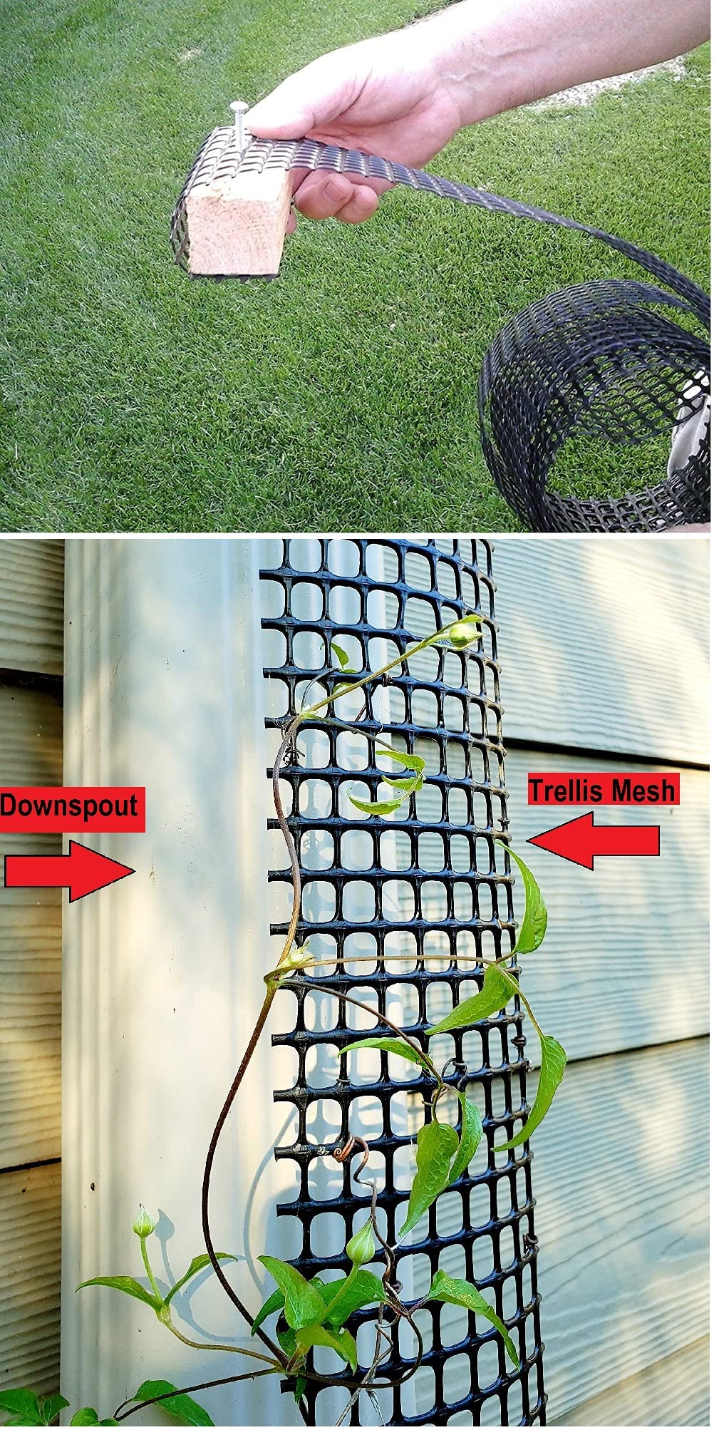 A Downspout Trellis Unobtrusive Trellis for up to 9 feet Tall Downspout Gutters to Grow Climbing