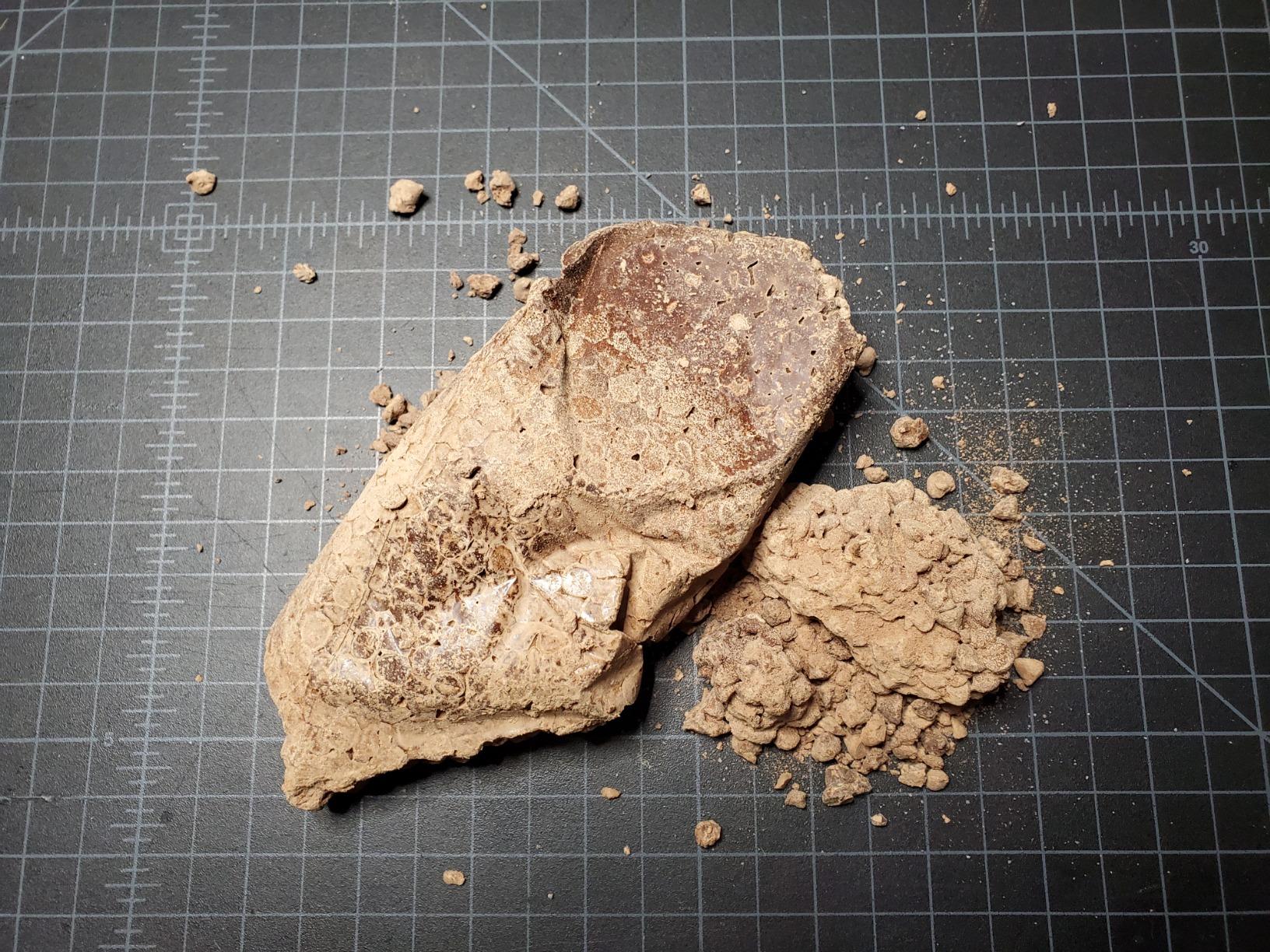 Let this serve as a warning to those living in warm states...