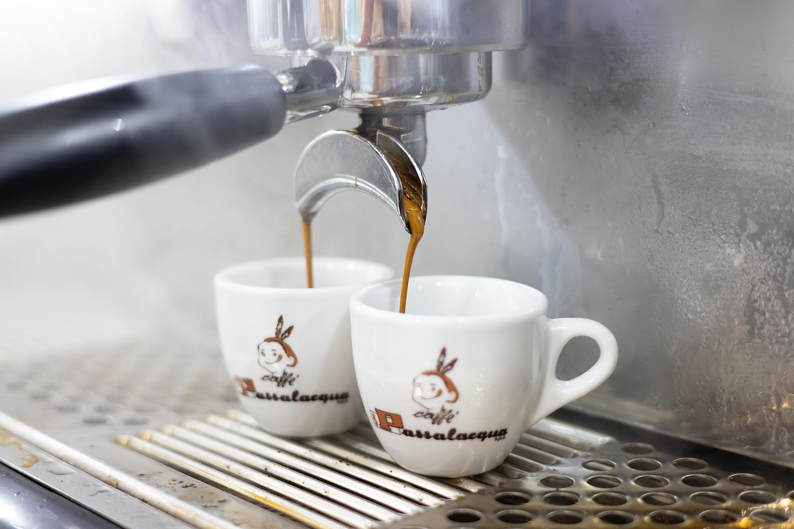 Café Passalacqua - MEKICO café molido - 6 Paquetes x 250 Gramos