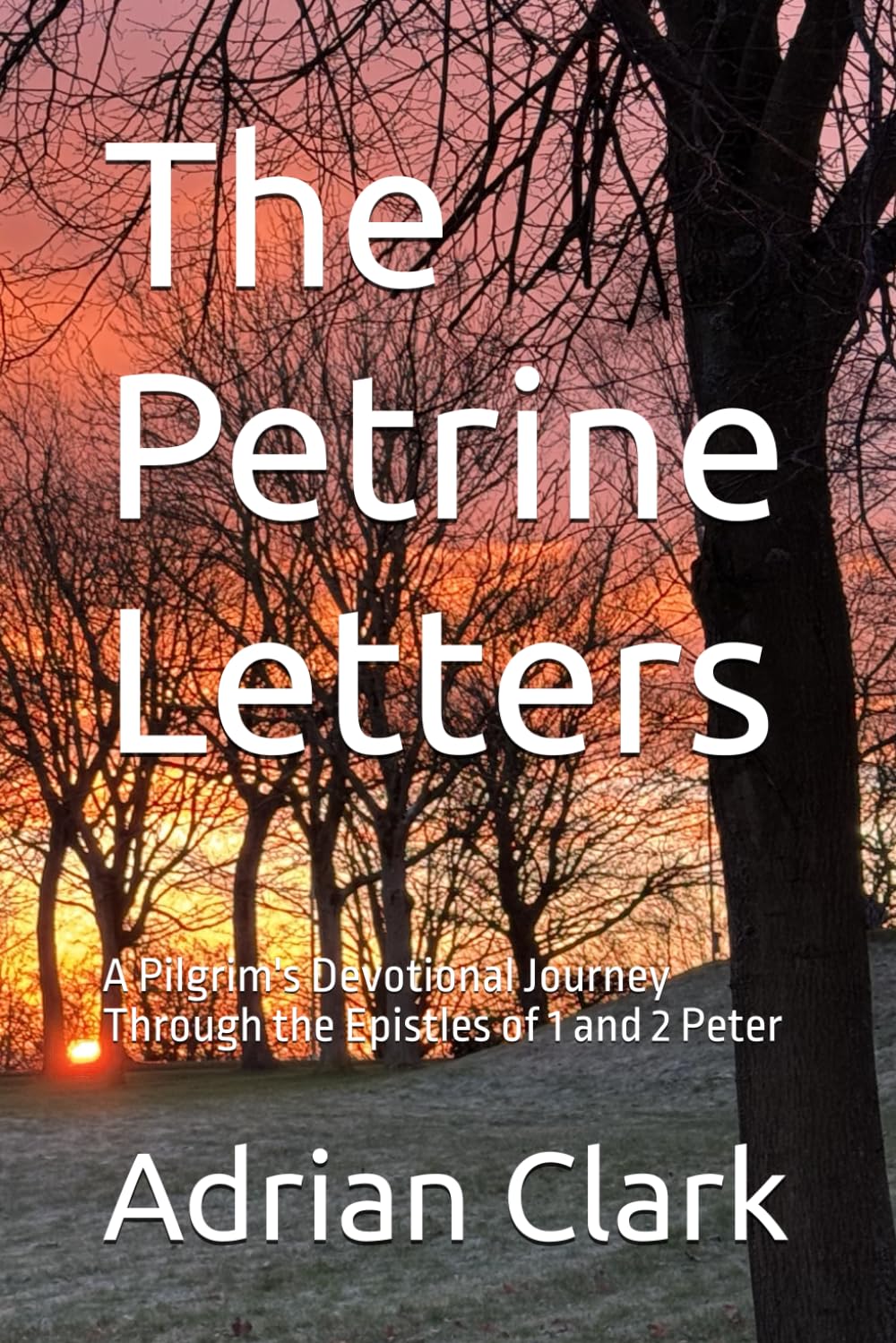 The Petrine Letters: A Pilgrim's Devotional Journey Through the Epistles of 1 and 2 Peter (Being a Pilgrim)