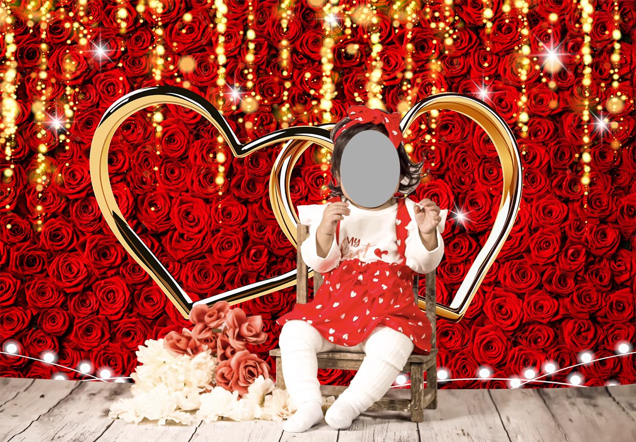 Snapklik.com : Red Rose Valentines Backdrop For Photography Love Hearts ...