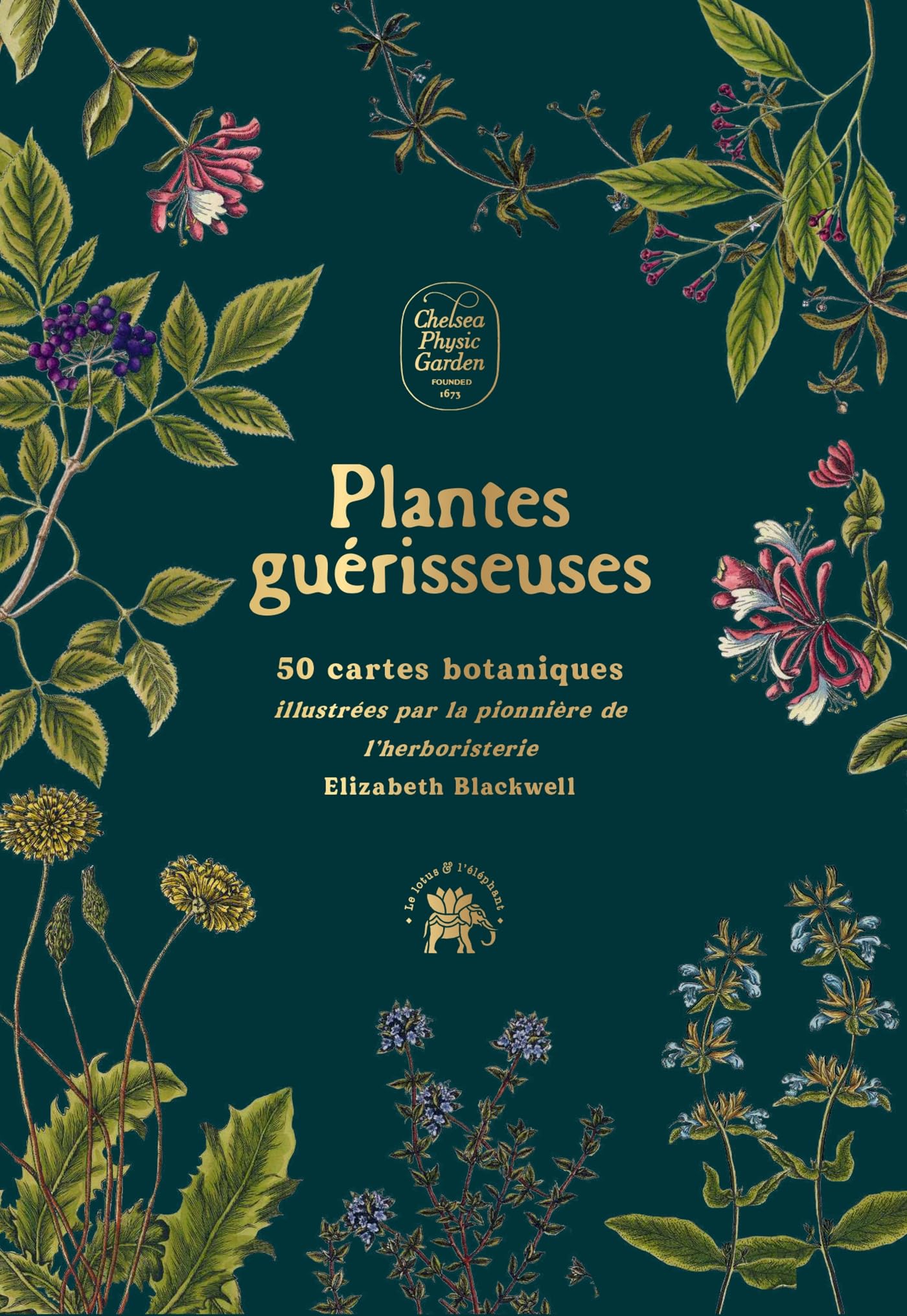 Plantes guérisseuses: 50 cartes botaniques illustrées par la pionnière de l'herboristerie Elizabeth Blackwell