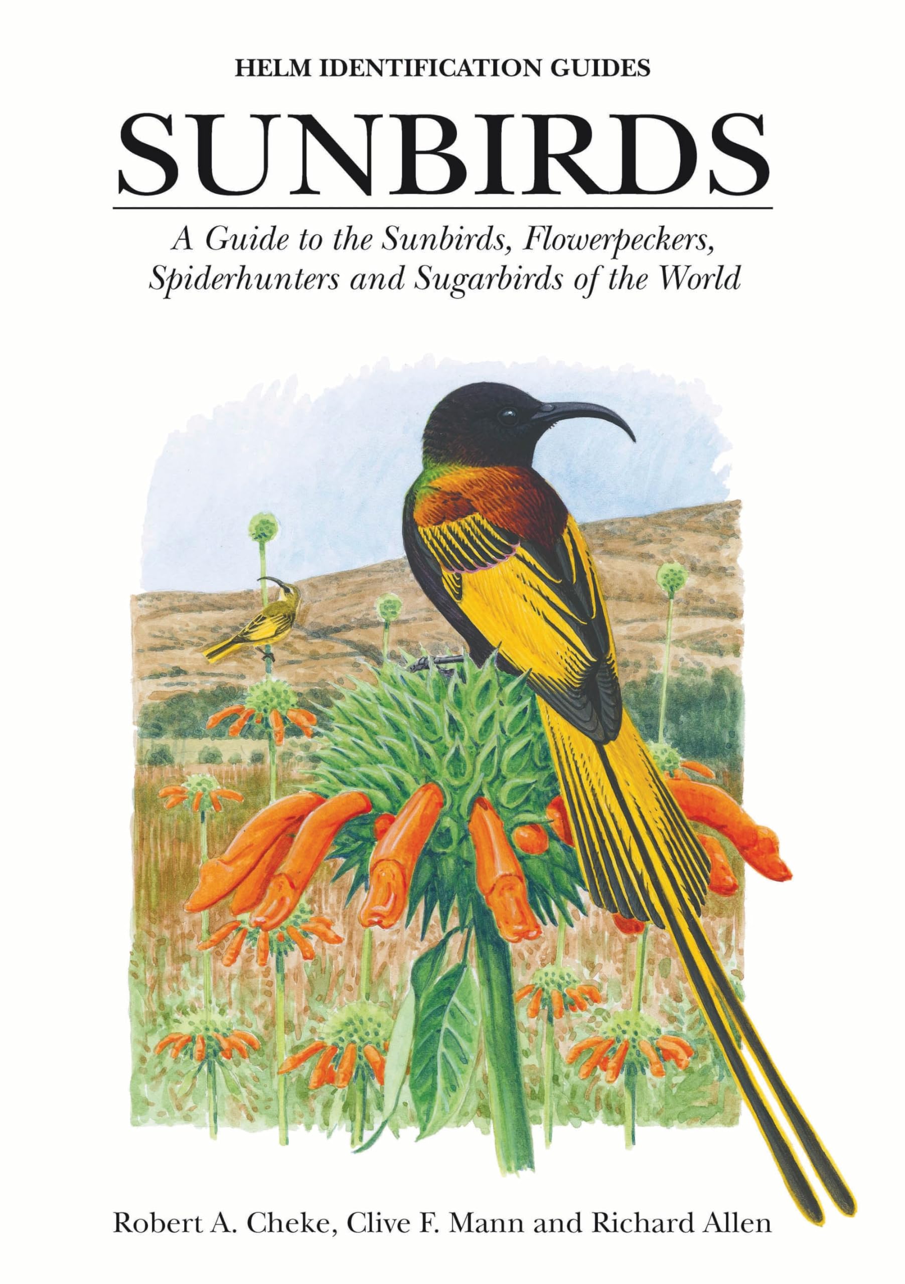 Buy Sunbirds: A Guide to the Sunbirds, Spiderhunters, Sugarbirds and Flowerpeckers of the World (Helm Identification Guides) — BookShops.in