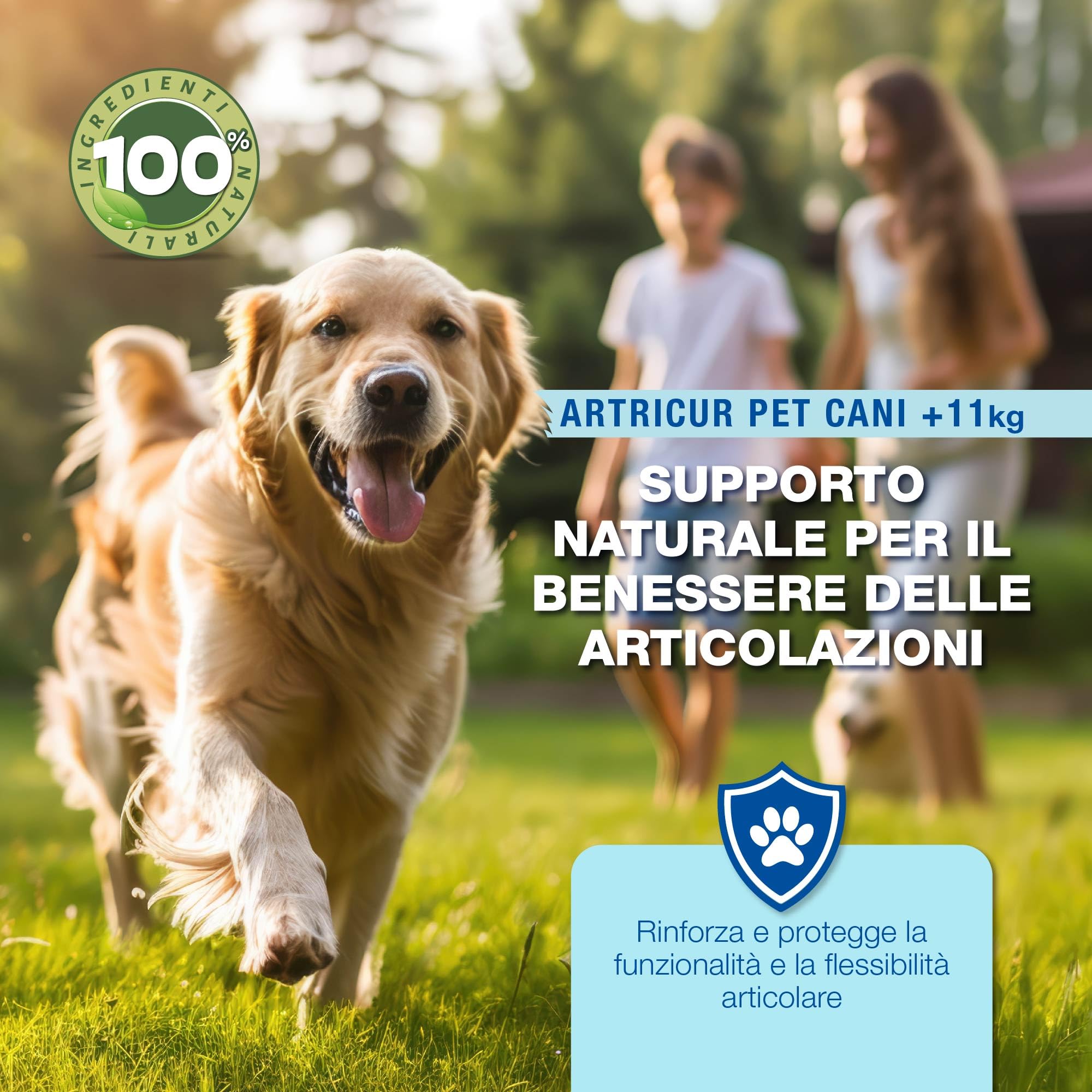 ALOEPLUS Artricur Pet Integratore Articolazioni Cane 11+ Kg - 100% Naturale con Aloe Arborescens BIO, Spirulina, Boswellia e Artiglio del Diavolo, Rinforza e Protegge le Articolazioni, 60 Capsule