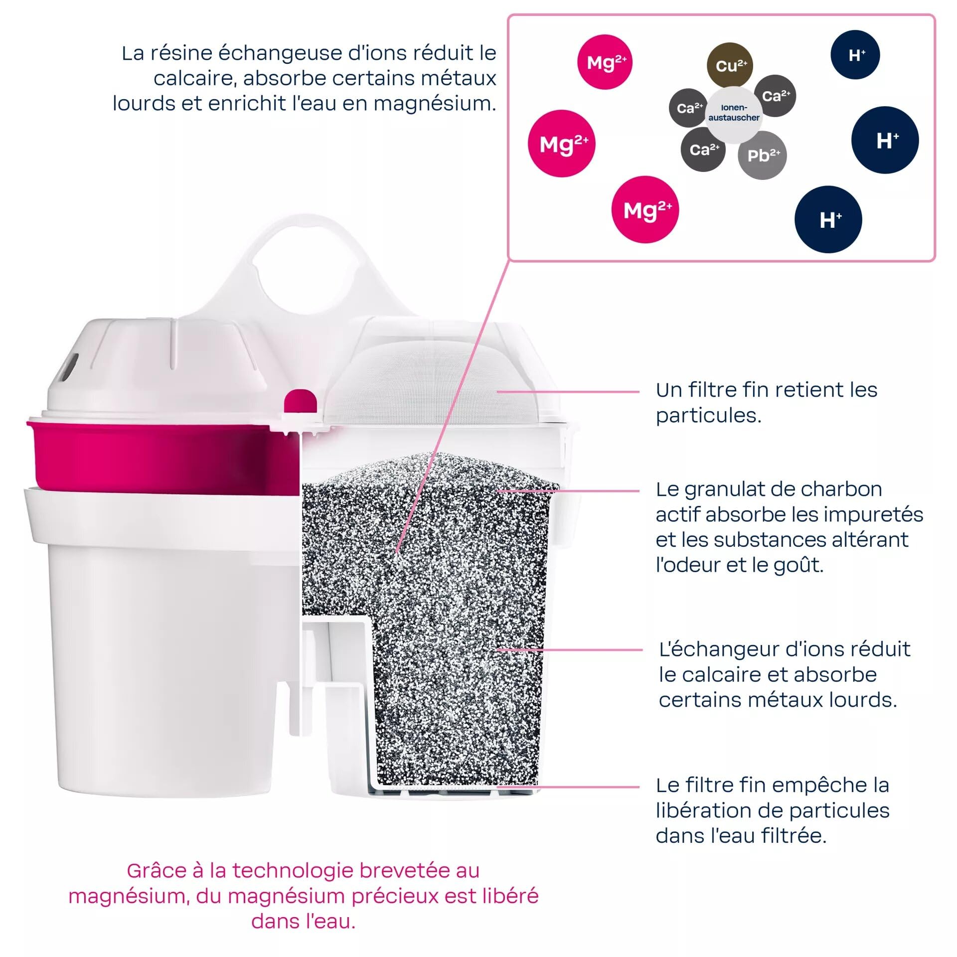 Carafe filtrante BWT PENGUIN 2,6 l avec cartouche Magnesium – filtre à eau robinet | réduit calcaire, chlore, métaux lourds | eau enrichie en magnésium, idéale thé, café, cuisine | charbon actif