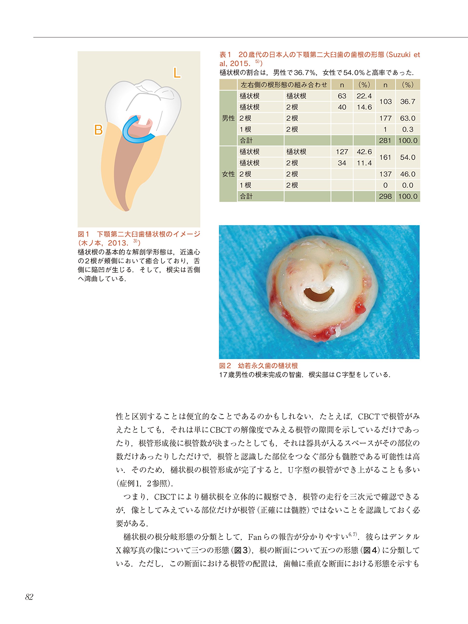 15ステップで使いこなそう 歯科用CTの完全活用 画像診断体験 嘉則