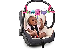 Bright Starts Busy Birdies Take-Along Toy Bar