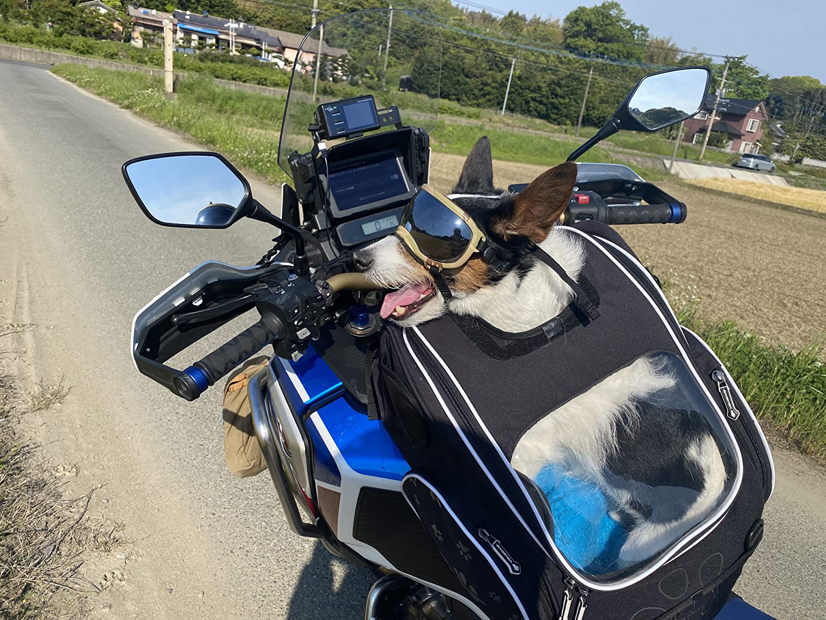 Amazon BAGSTER(バグスター) タンクバッグ PUPPY(パピィ) 30L (46x34x8cm) ブラック XSR130 タンクバッグ 車＆バイク