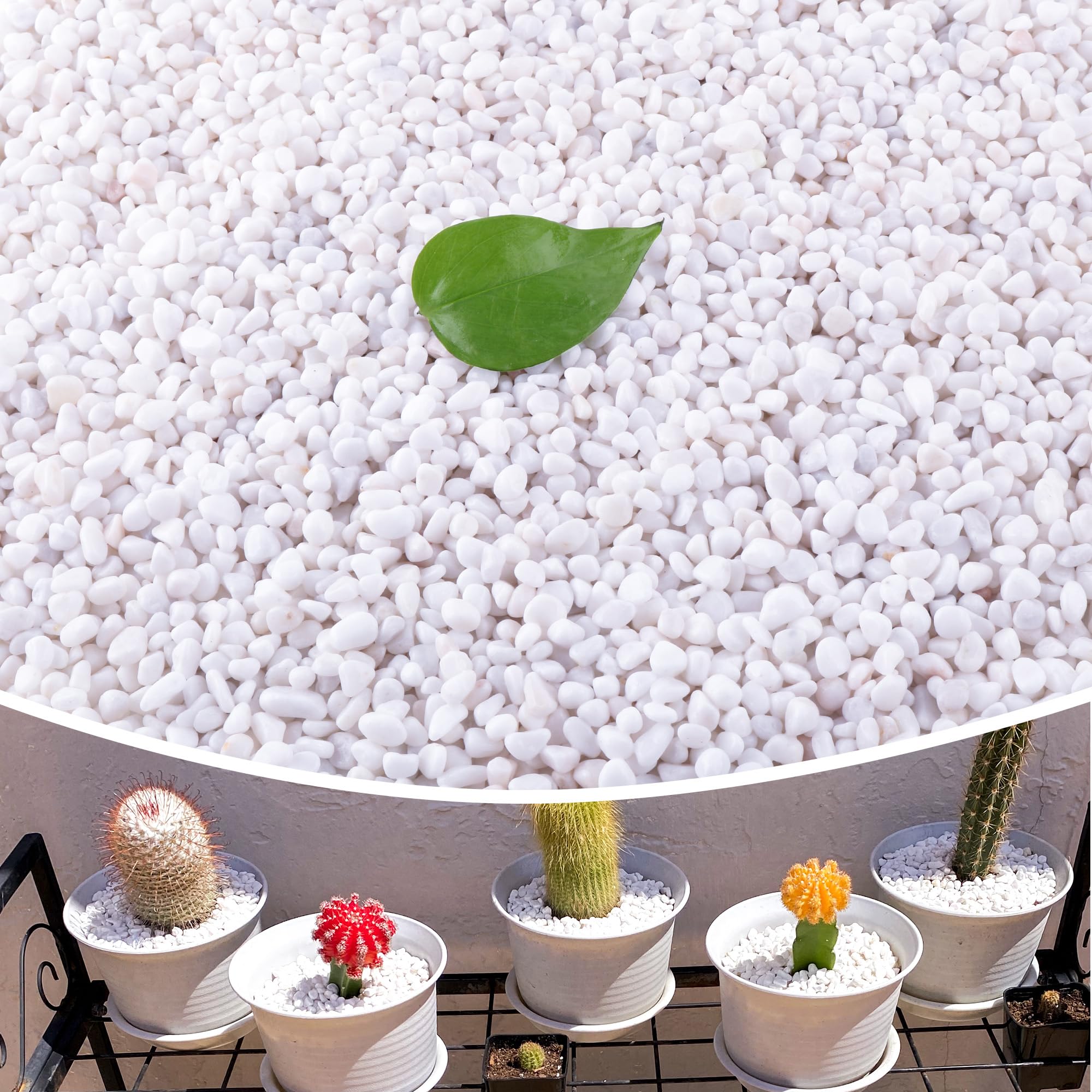 Rocas blancas pequeñas de 18 libras de 1/4 pulgadas para plantas, macetas, suculentas, acuarios, peceras, jarrones de jardín, piedras decorativas de grava