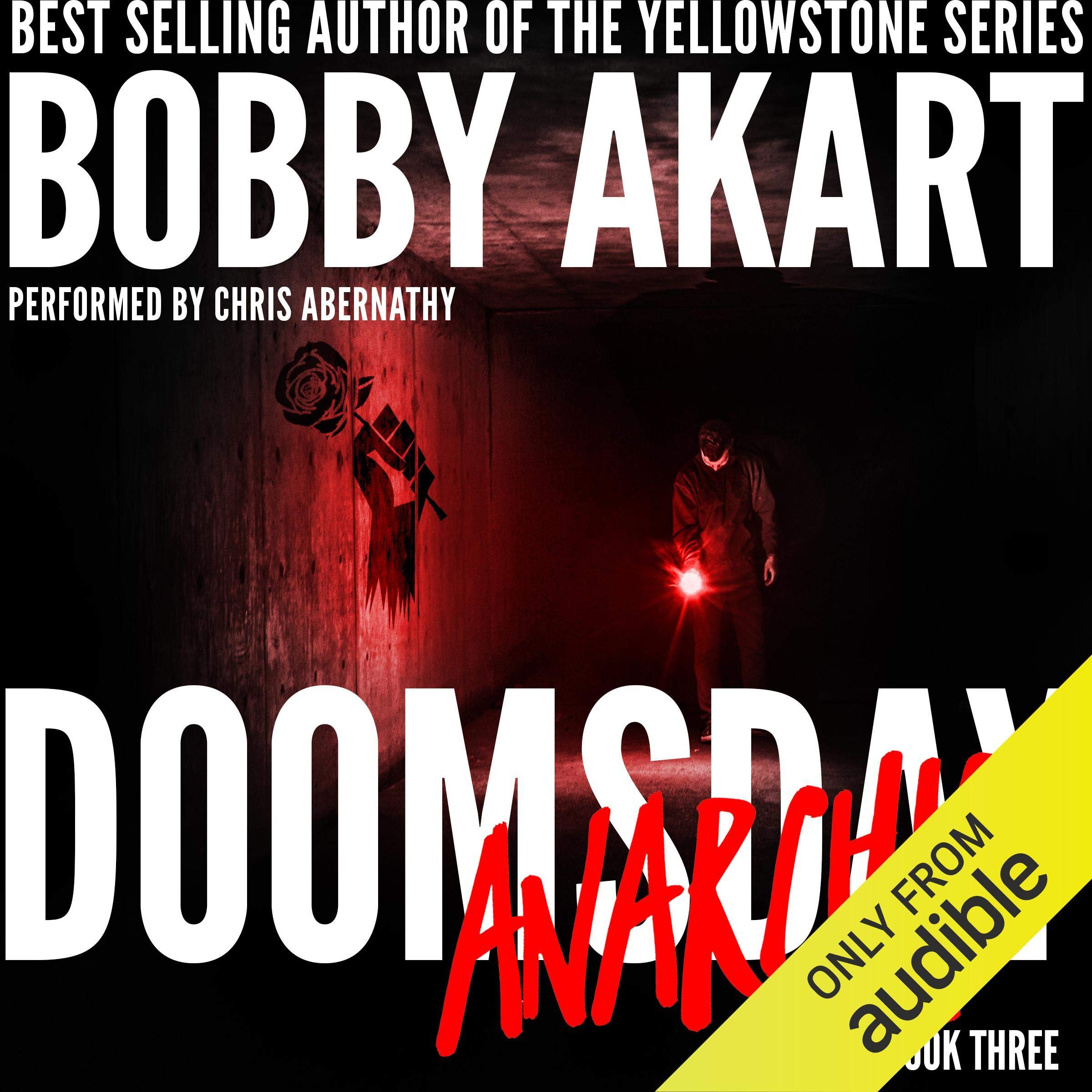Cover art for Doomsday Anarchy: A Post-Apocalyptic Survival Thriller