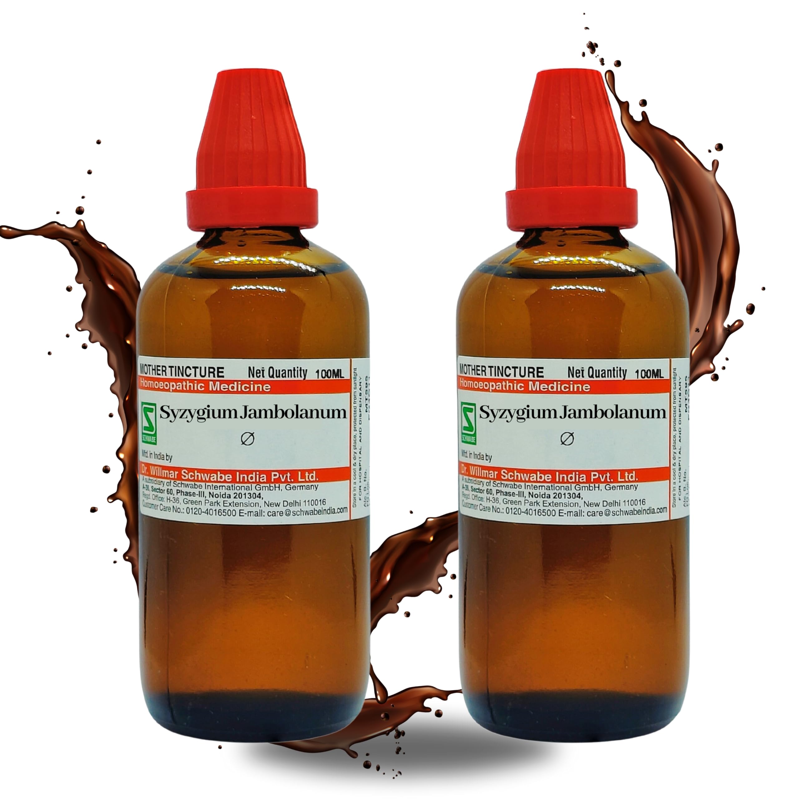 Dr Willmar Schwabe India Syzygium jambolanum Q 200ML (100mlx2) || Mother Tincture || Schwabe Homeopathy Medicine (B0CT3DMNXL) Amazon Price History, Amazon Price Tracker