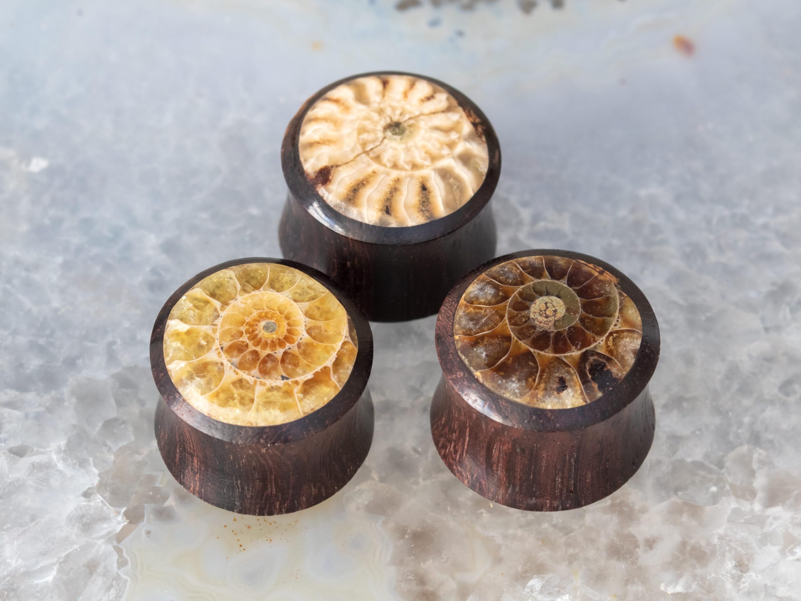 Fly Style Piercing Ohr Tunnel Plug - Ohr Piercings - Ammoniten Earplug Holz Horn