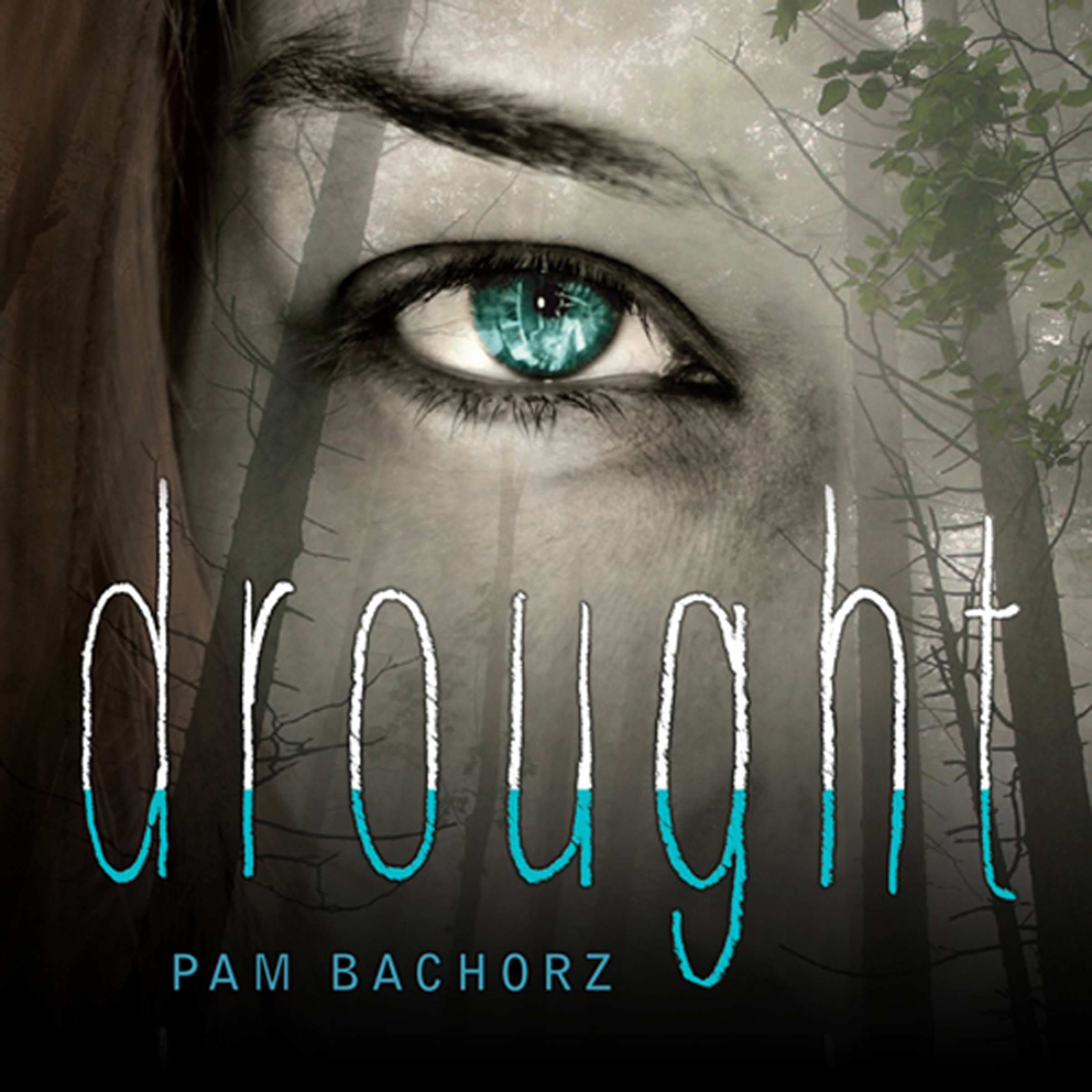 Cover art for Drought