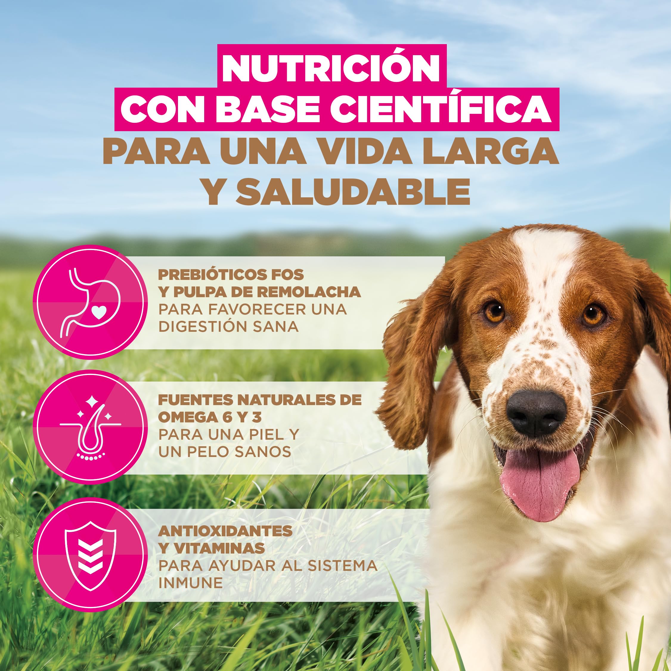 Eukanuba, alimento para Perros sin Cereales con Pesco para Razas pequeñas y Medianas - Alimento seco Premium sin Cereales para Perros Adultos, 12 kg