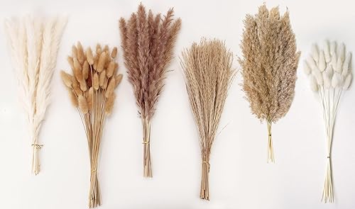 Miniatura 2 de Decoración de hierba seca de las pampas, 120 piezas de hierba de las pampas con colas de conejo, ramo de hierba de caña para bodas, flores bohemias,