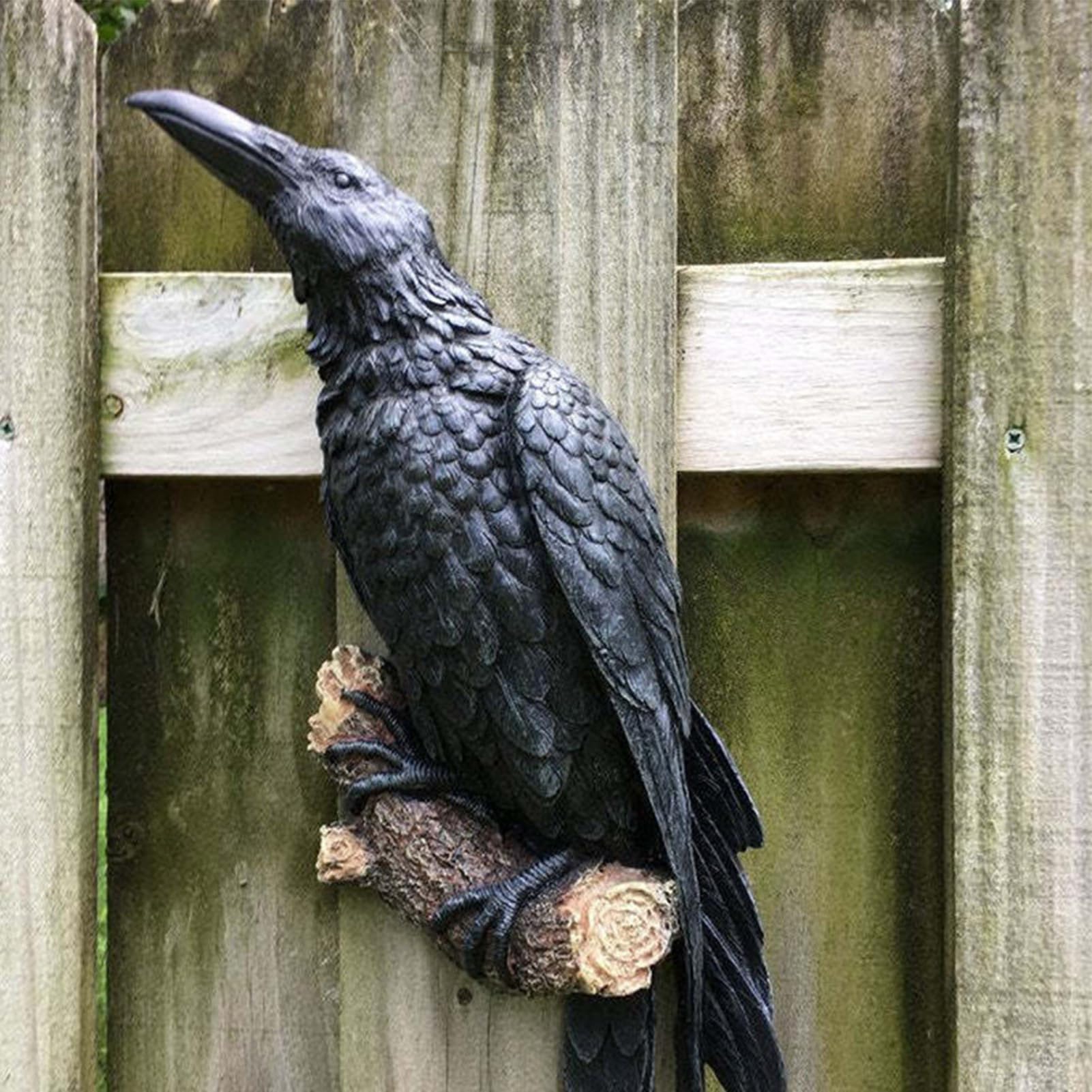 Amazon.co.jp: 樹脂レイヴン像、ブラックカラスの止まり木壁彫刻