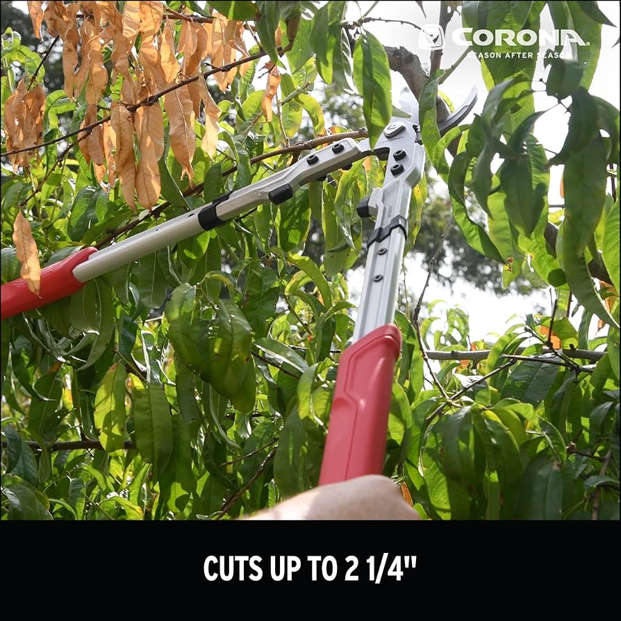 【coron様】 Amazon.com : Corona X Series Pro 2-1/4 Inch Bypass Lopper