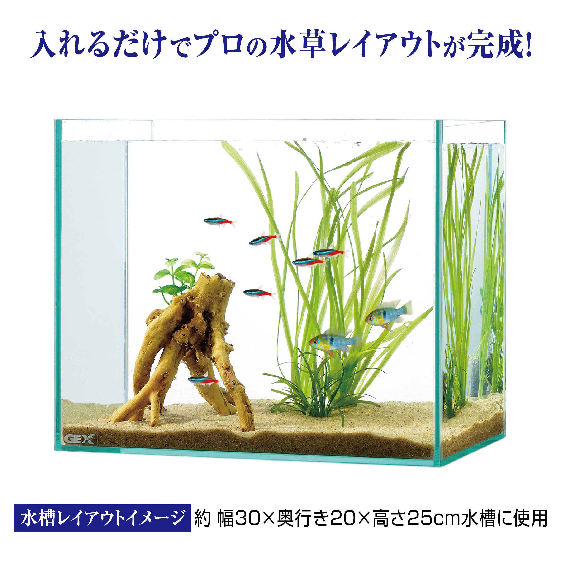 Amazon | GEX ジェックス 癒し水景 水草付き流木 ブランチ 水槽用 