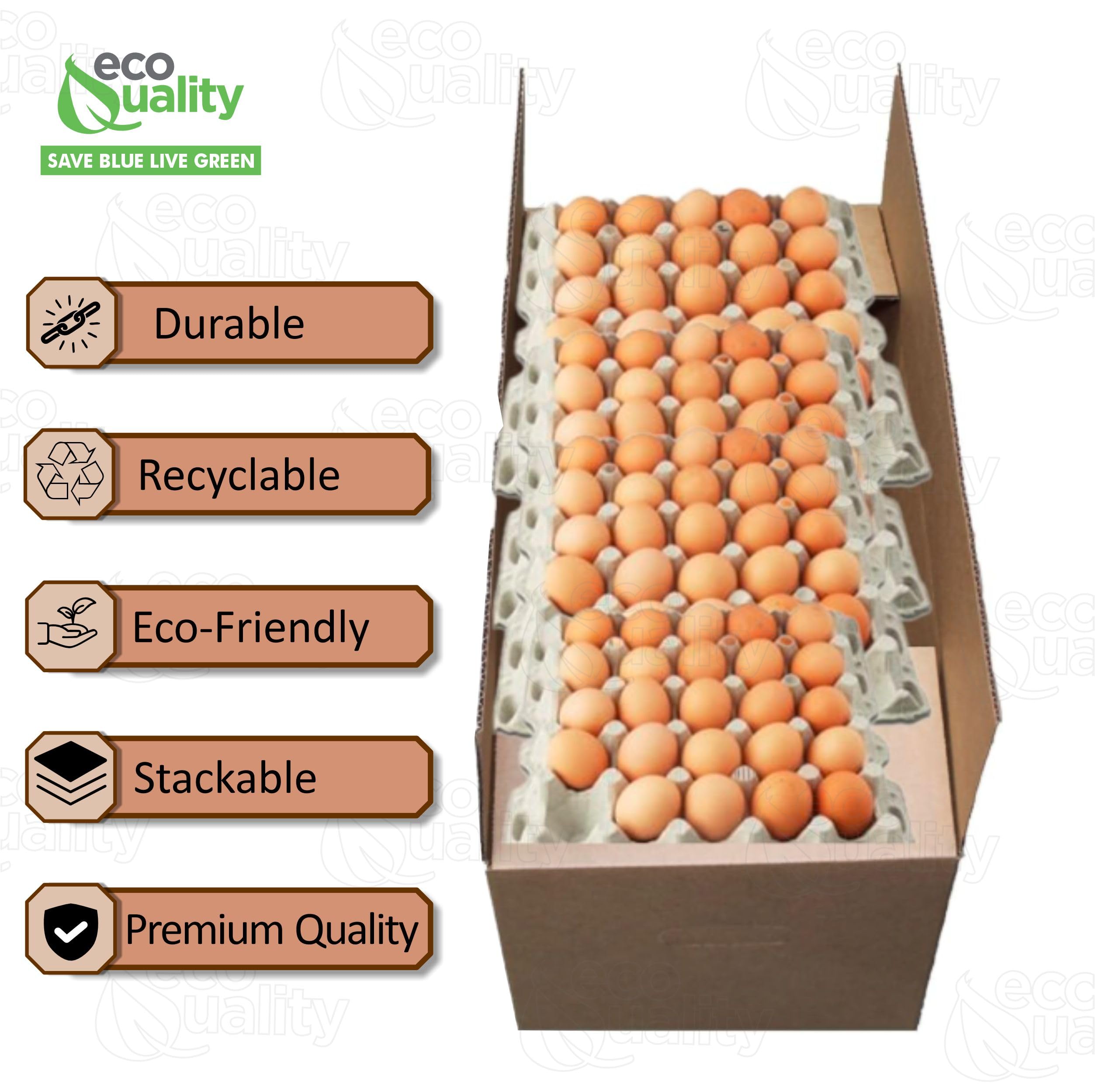 Amazon.com: Corrugated Export Egg Boxes with Handles ECT32 - Fits Amazon.com: Corrugated Export Egg Boxes with Handles ECT32 - Fits