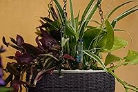 Vista 7 de Macetas colgantes de riego automático de 7.5 pulgadas para plantas de interior, maceta con indicador de nivel de agua para plantas, macetas