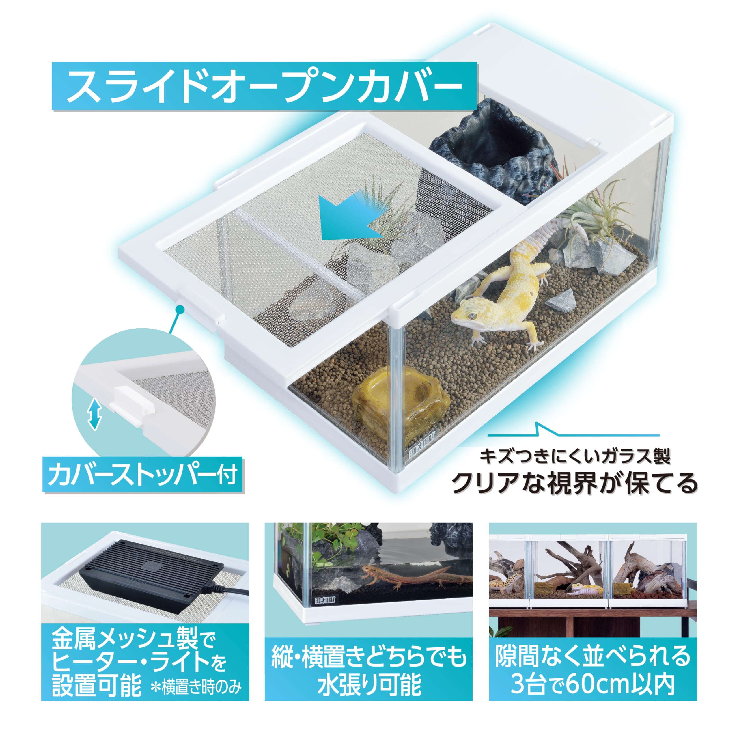 Amazon.co.jp: ジェックス EXOTERRA レプテリア ツインビュー