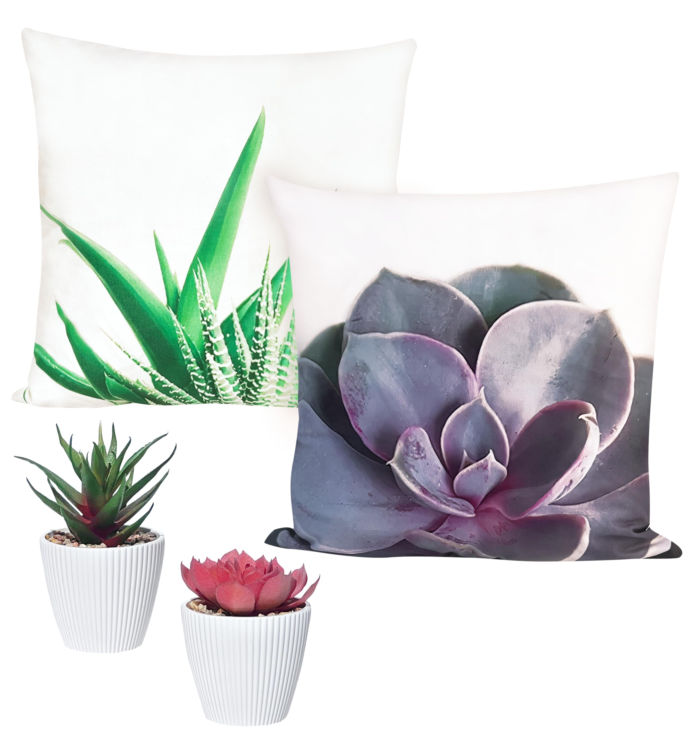 4-Piece Set 2 Artificial Succulent Plants in Pots 2 Decorative Pillow Covers 18x18 Small Fake Plants for Home