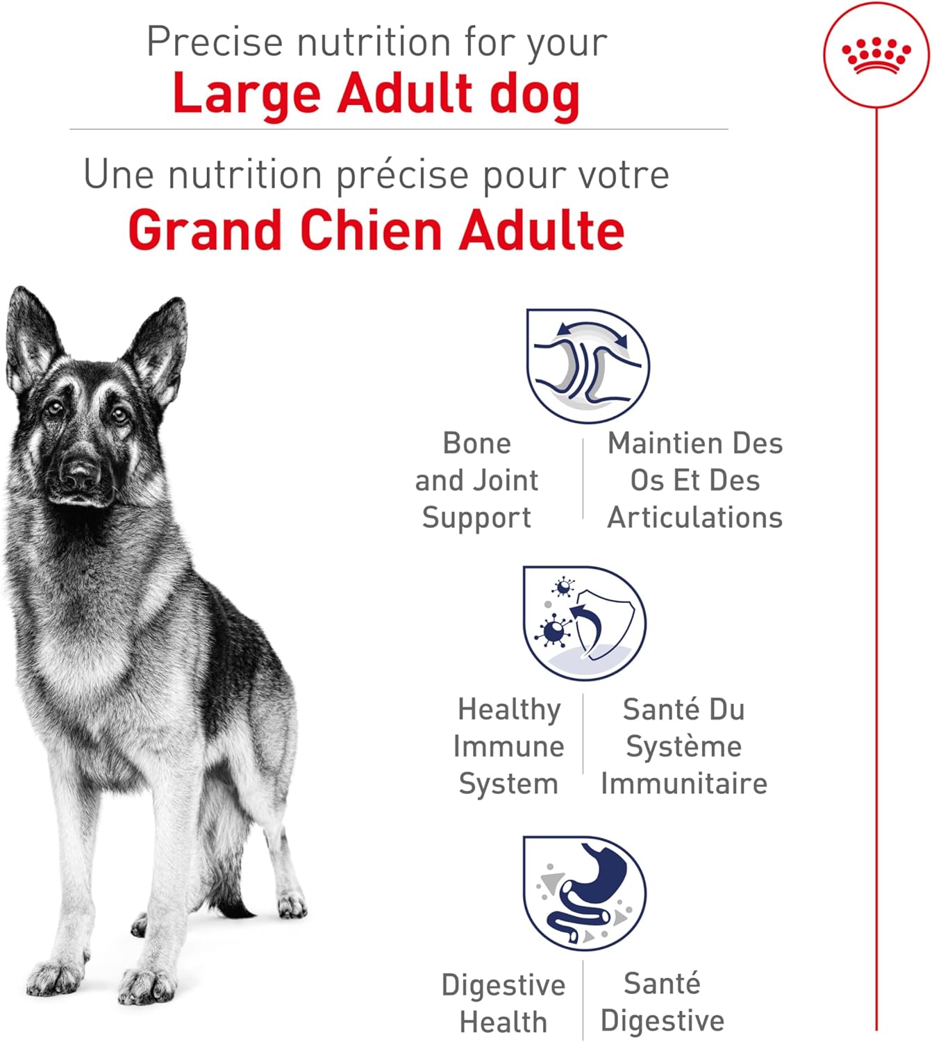 Royal Canin Size Health Nutrition Large Adult Dry Dog Food, 40 lb Bag - Image 4