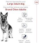 Royal Canin Size Health Nutrition Large Adult Dry Dog Food, 40 lb Bag | Tailored Nutrition for Adult Dogs, Supports Bone and Joint Health, Optimal Digestive Support, 40 Pound Bag